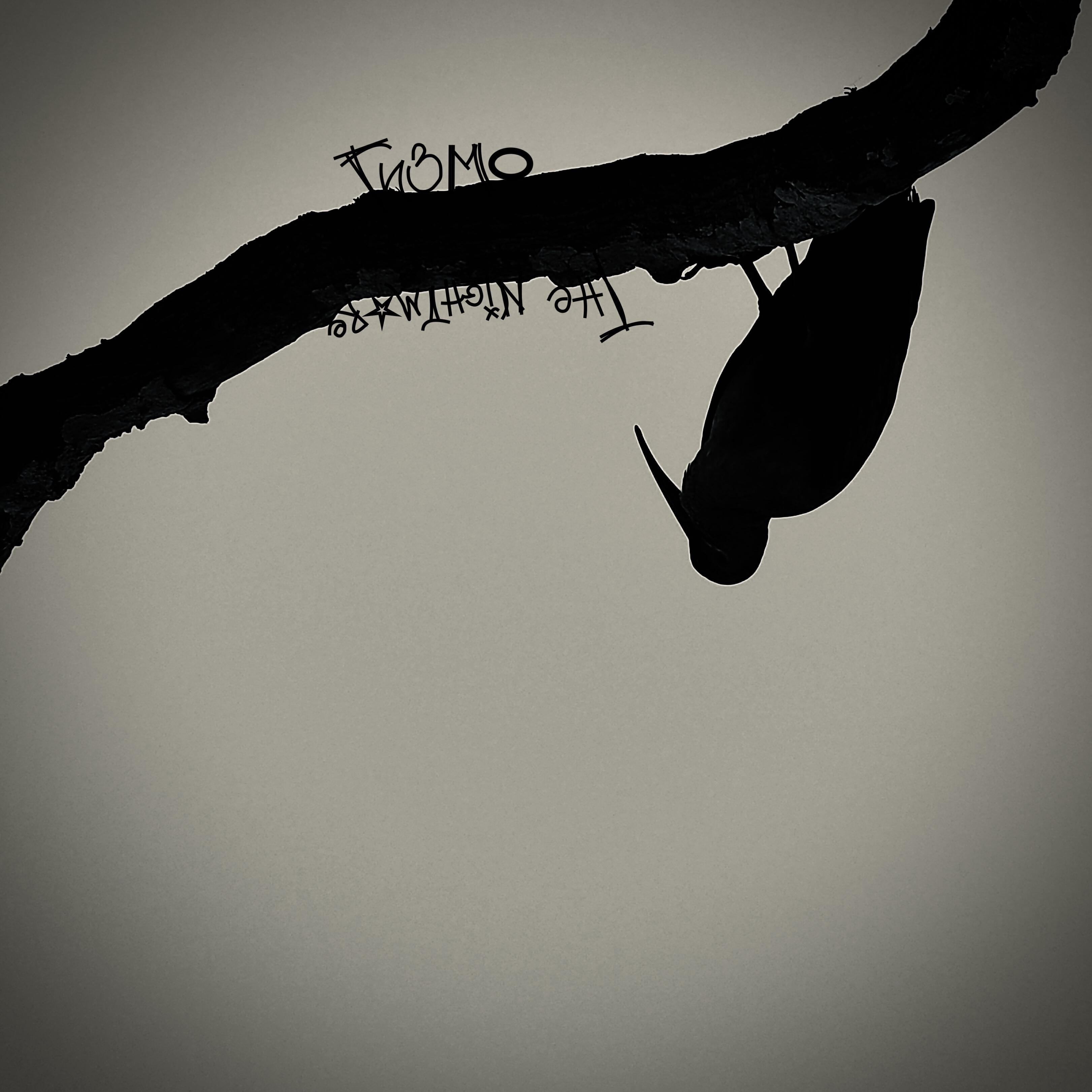 Релиз The Nightmare