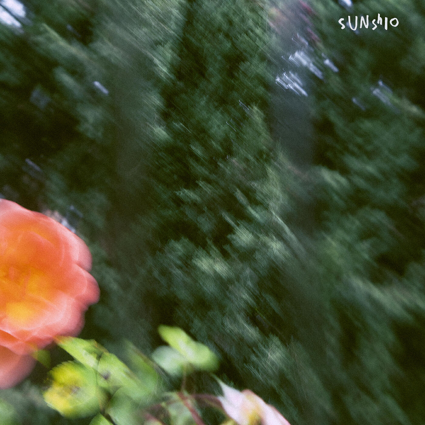 Sunshio