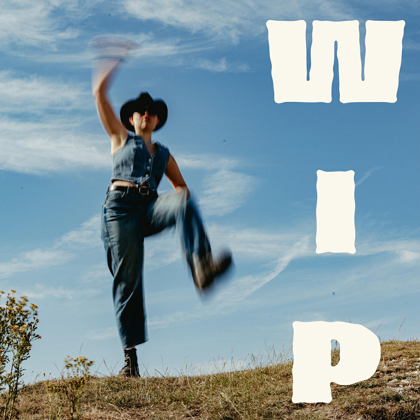 Релиз W.I.P.