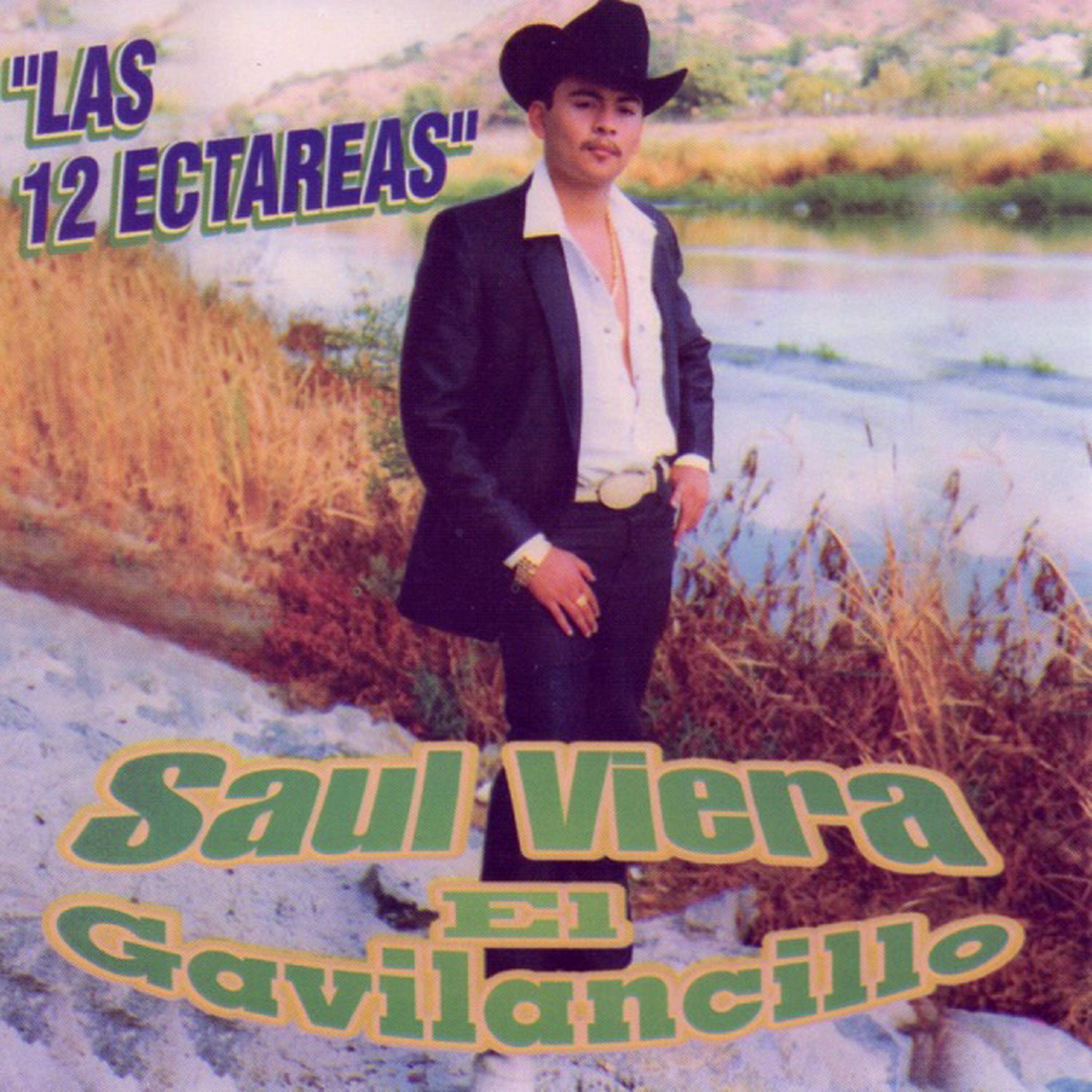 Релиз Las 12 Ectareas