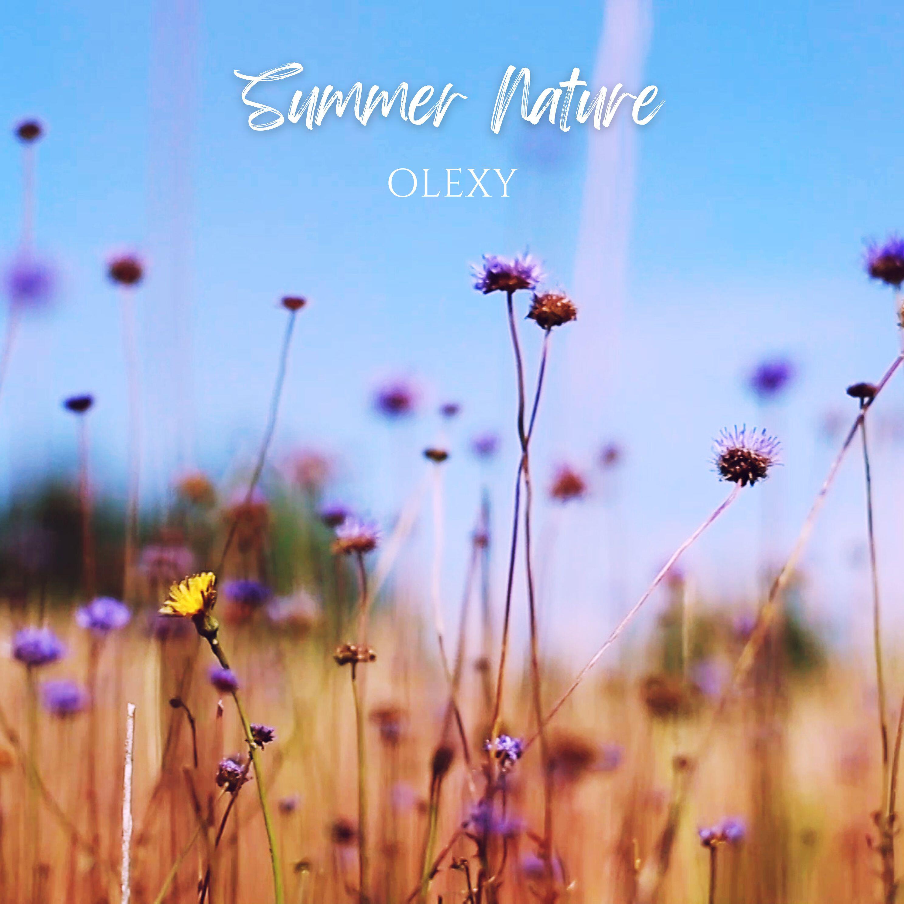 Релиз Summer Nature