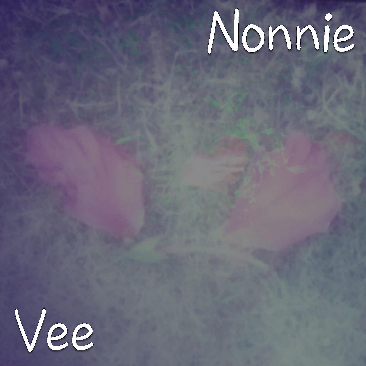 Релиз Vee