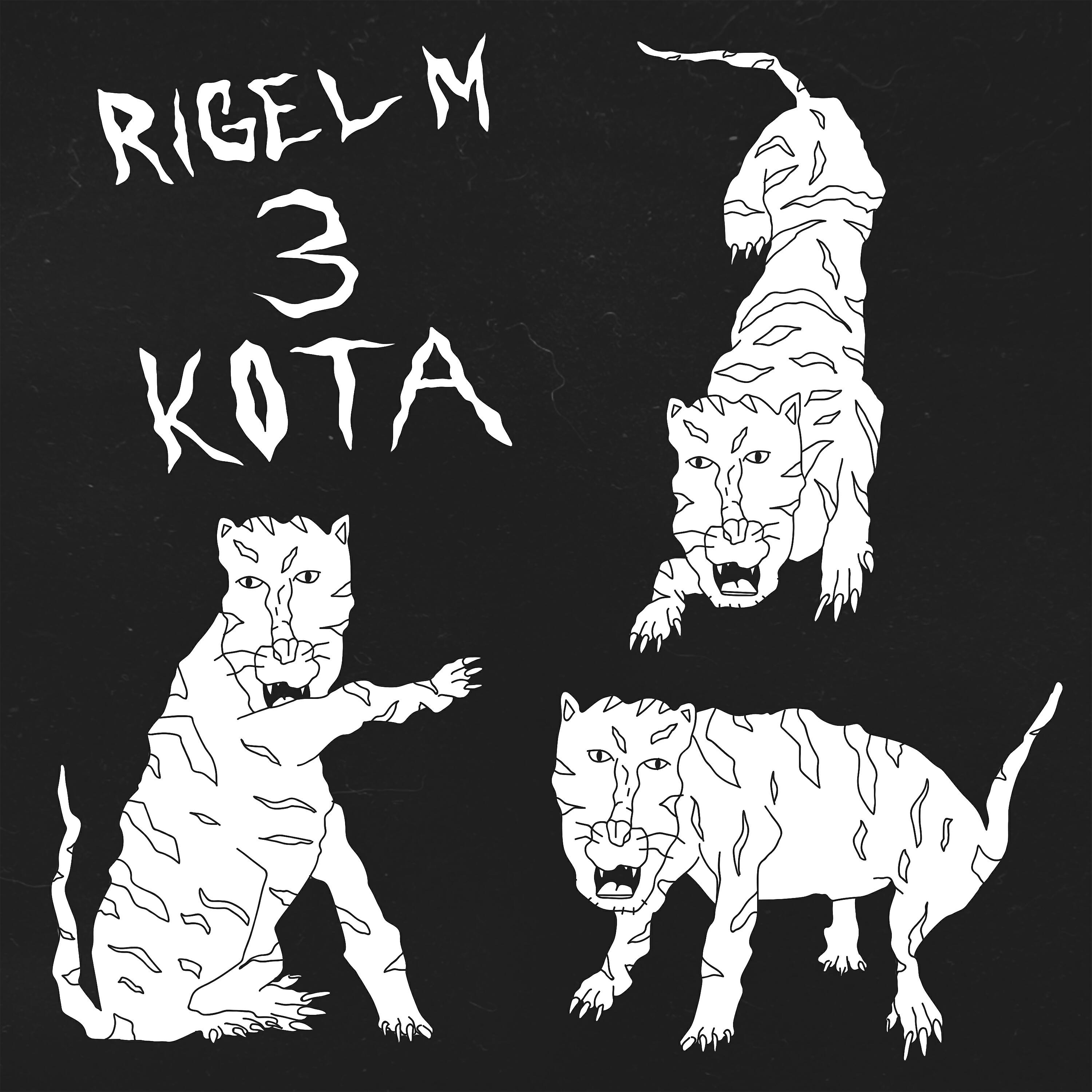 Rigel M - 3 кота