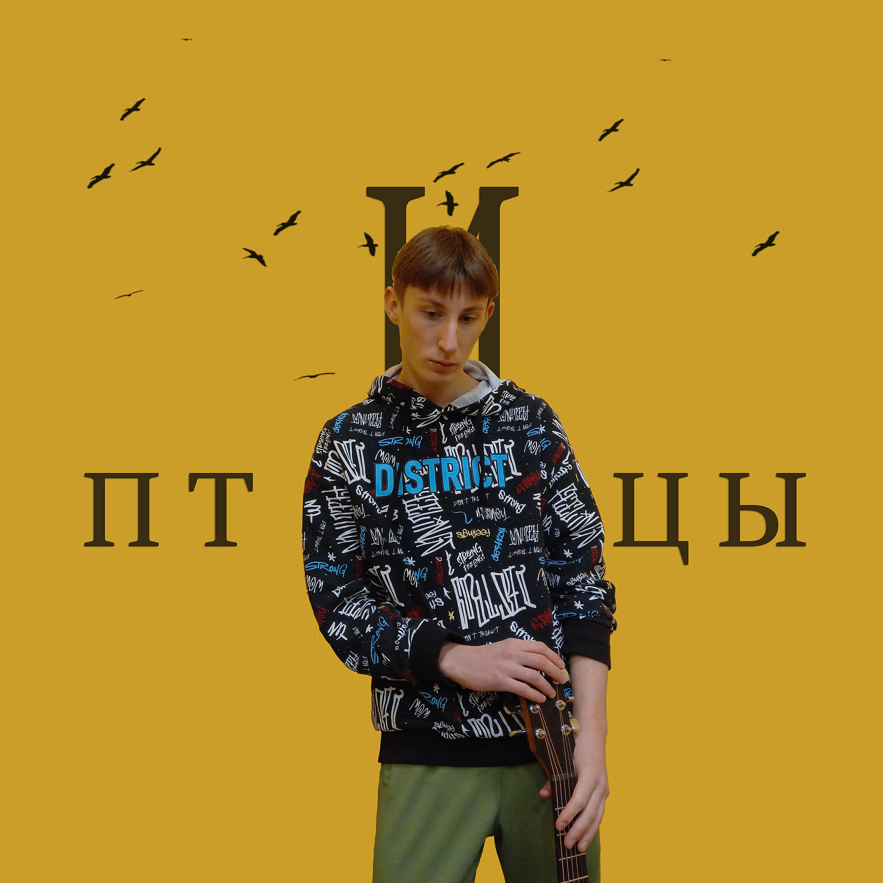 Релиз Птицы