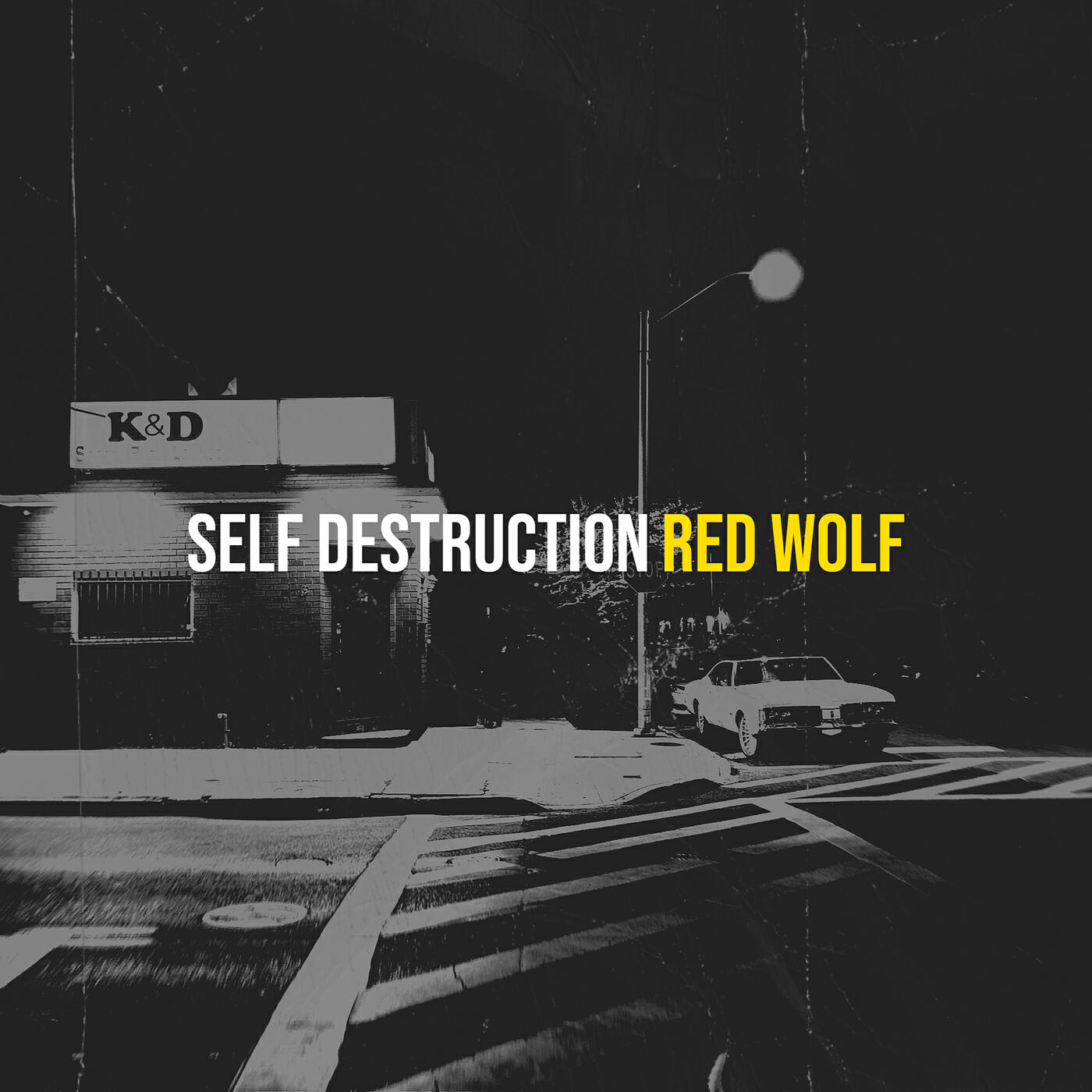 Релиз Self Destruction