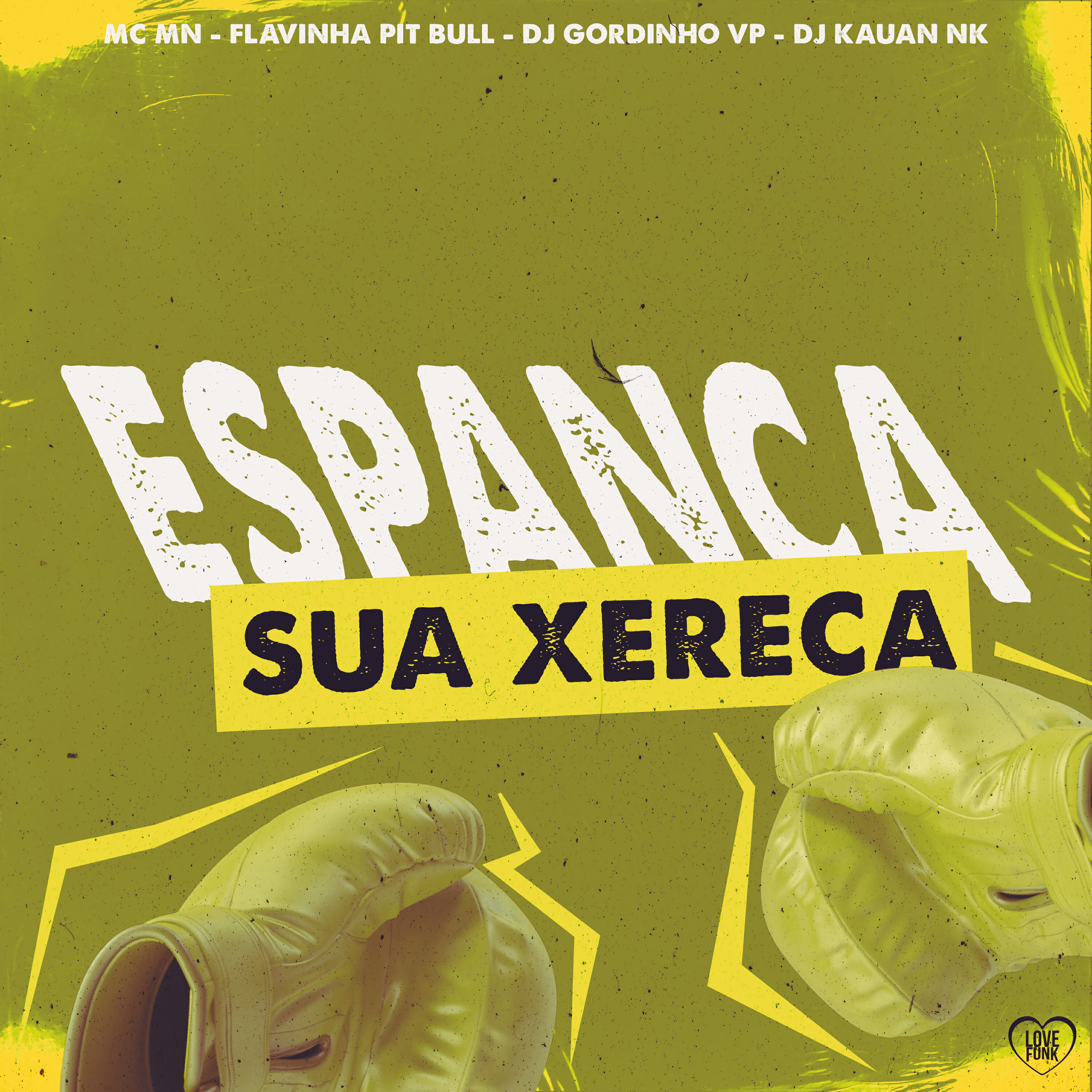 Скачать песню MC MN, DJ gordinho da vp, Flavinha Pit Bull, DJ Kauan NK - Espanca Sua Xereca бесплатно в MP3 для Android и iOS