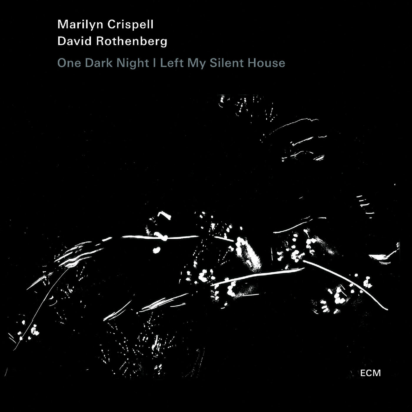 Релиз One Dark Night I Left My Silent House