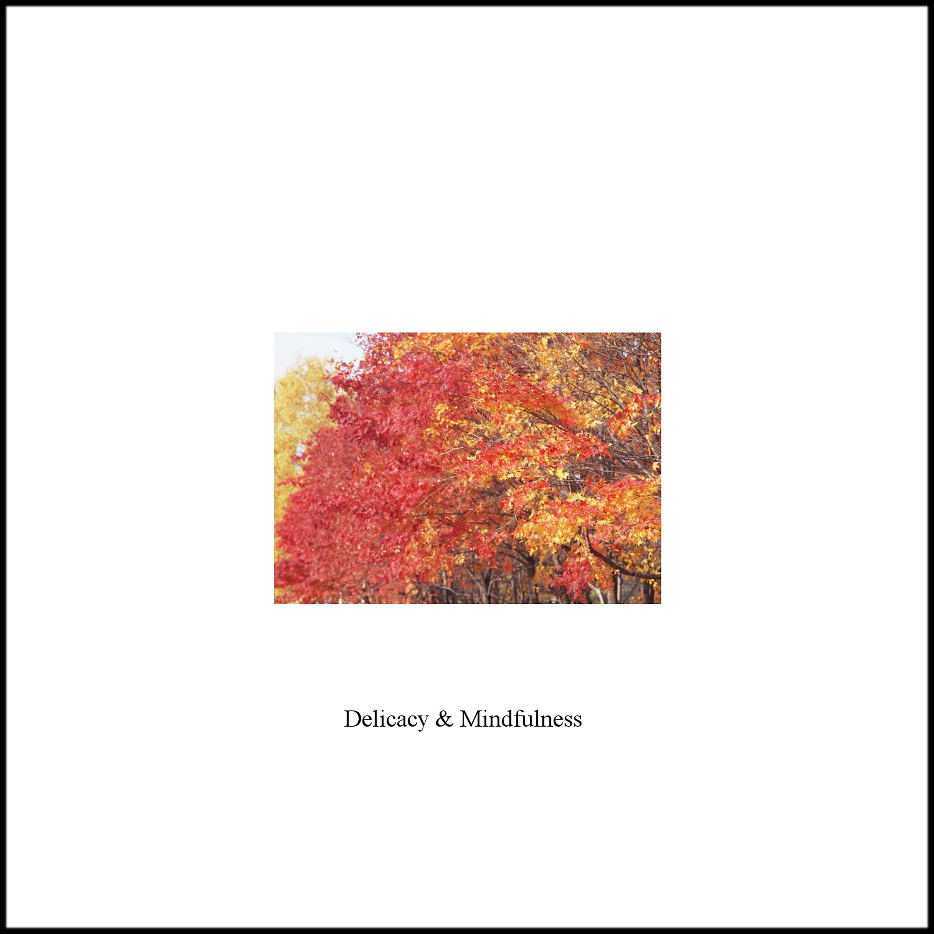 Релиз Delicacy and Mindfulness - Single