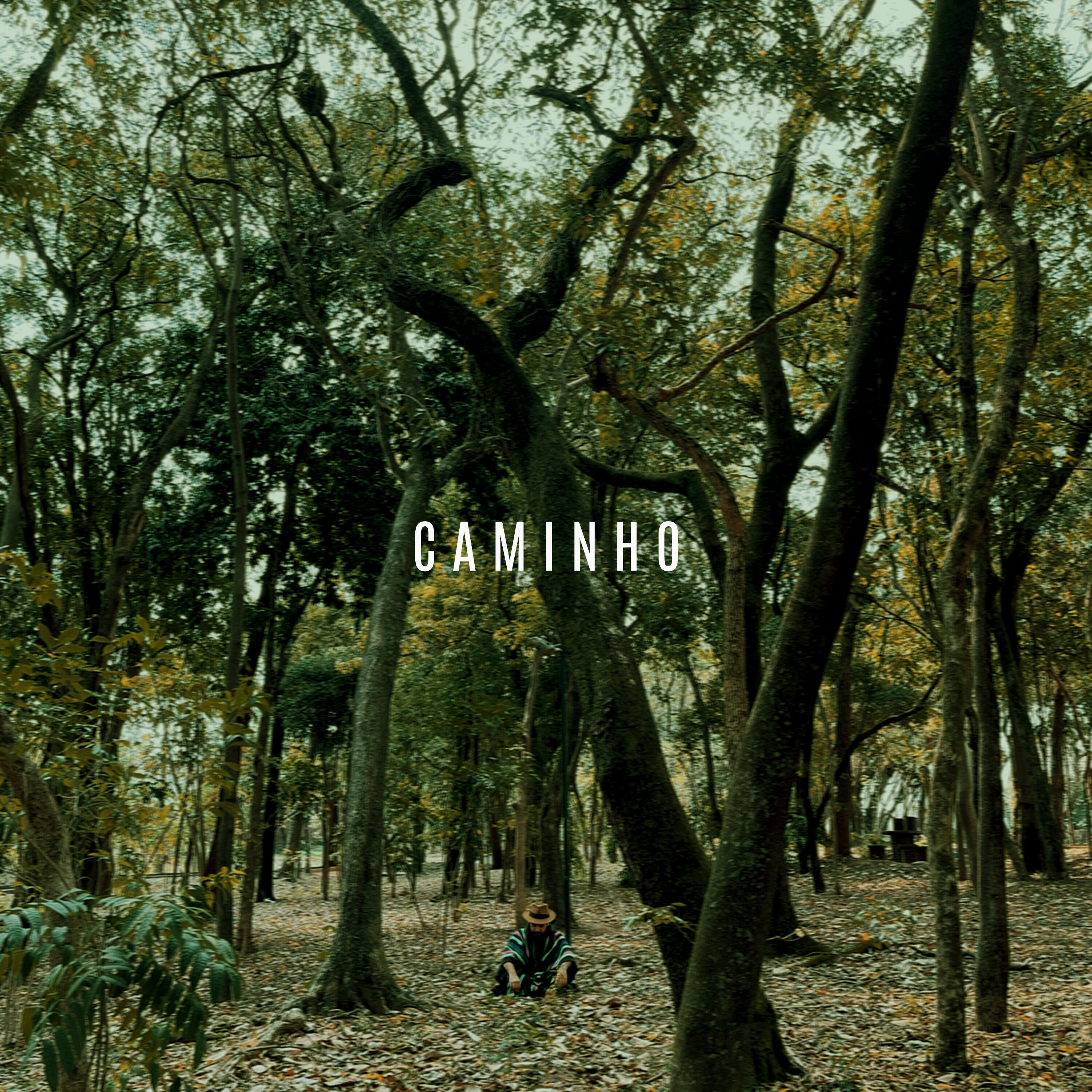 Релиз Caminho