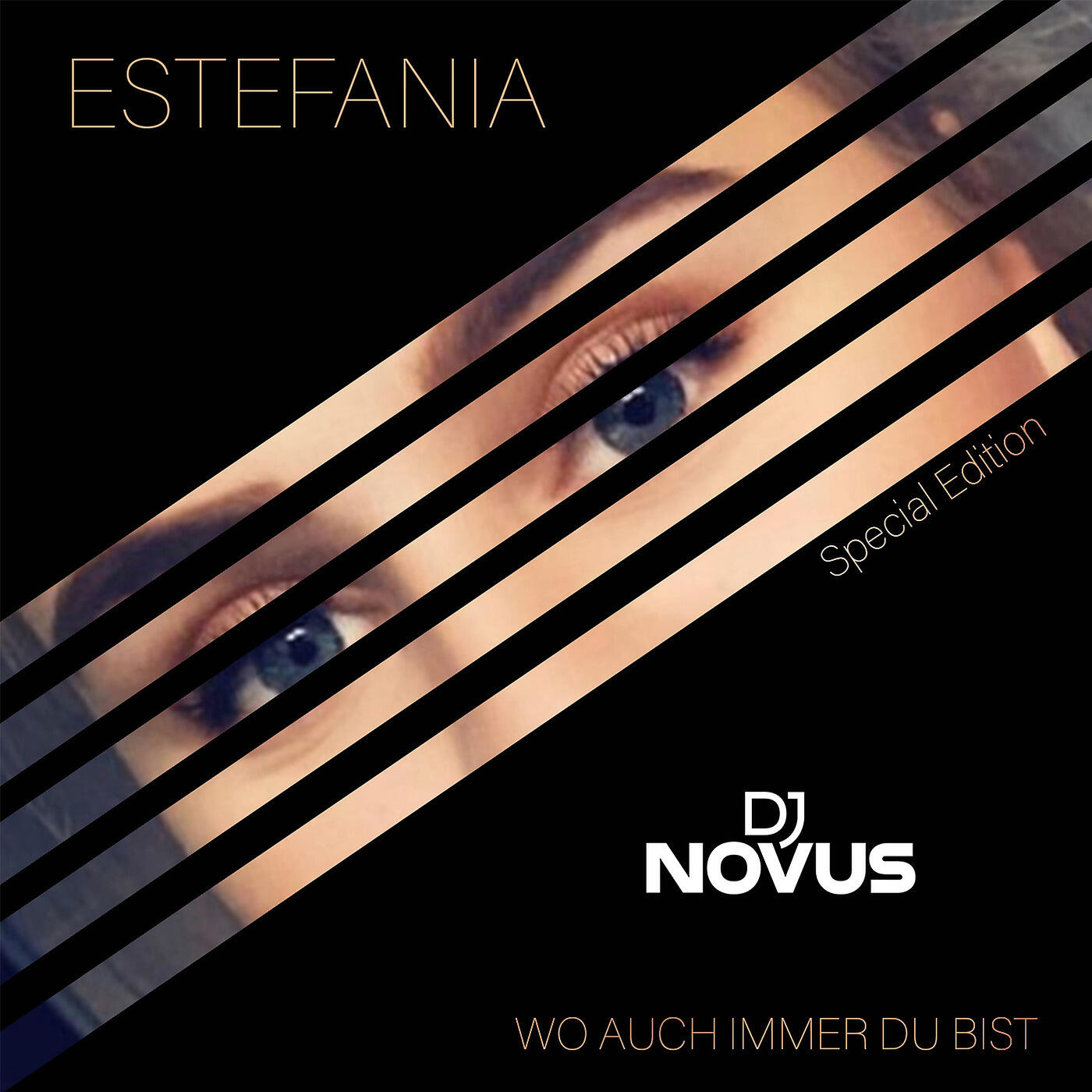 Релиз Wo Auch Immer Du Bist