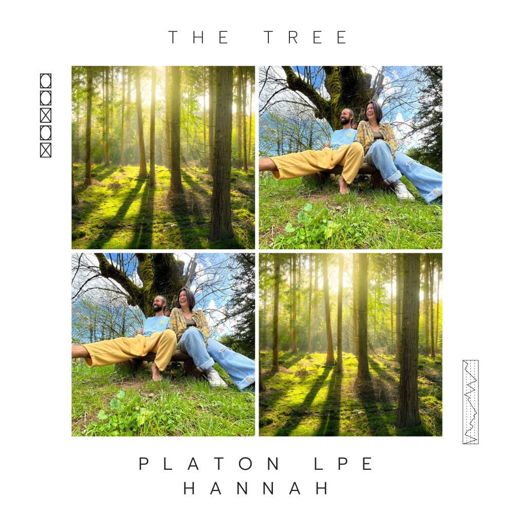 Релиз The Tree