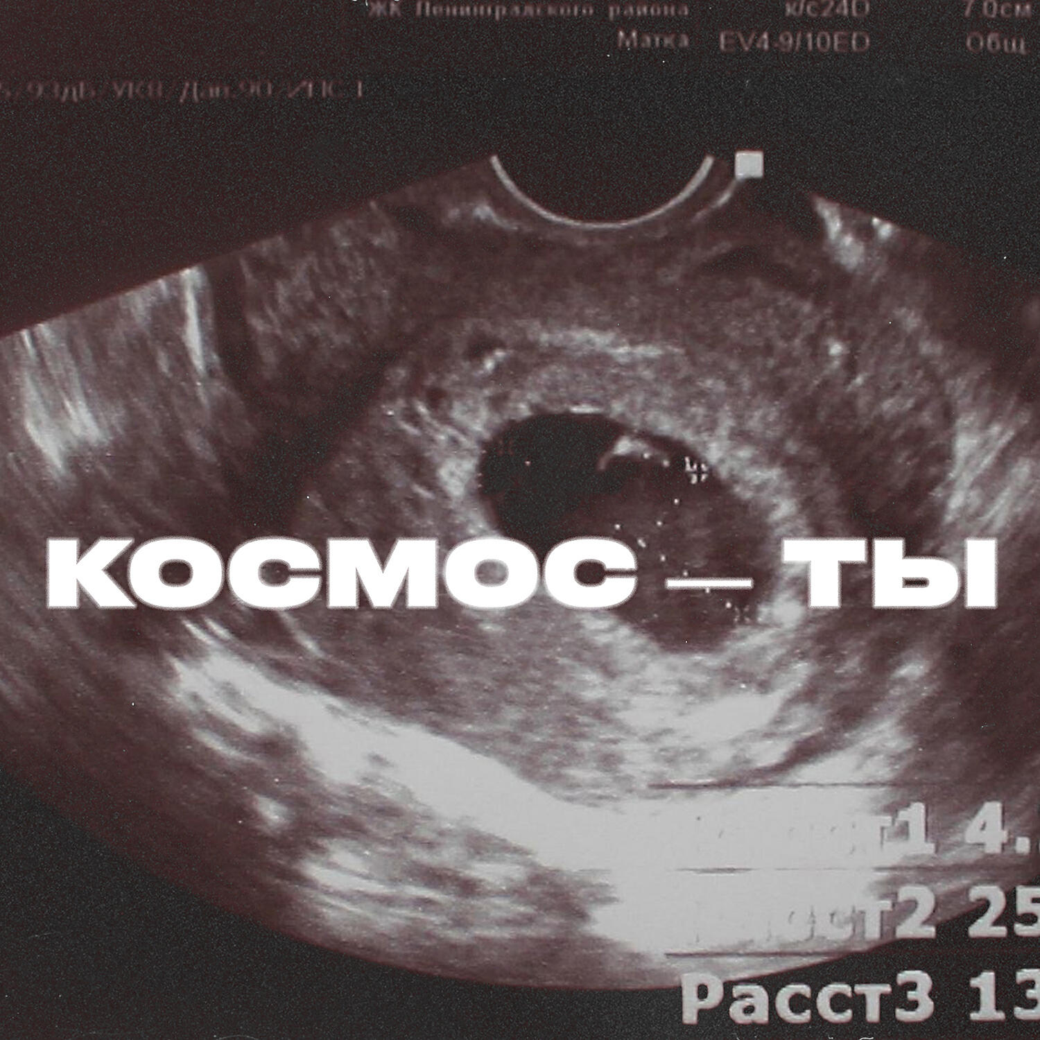 Релиз Космос - ты