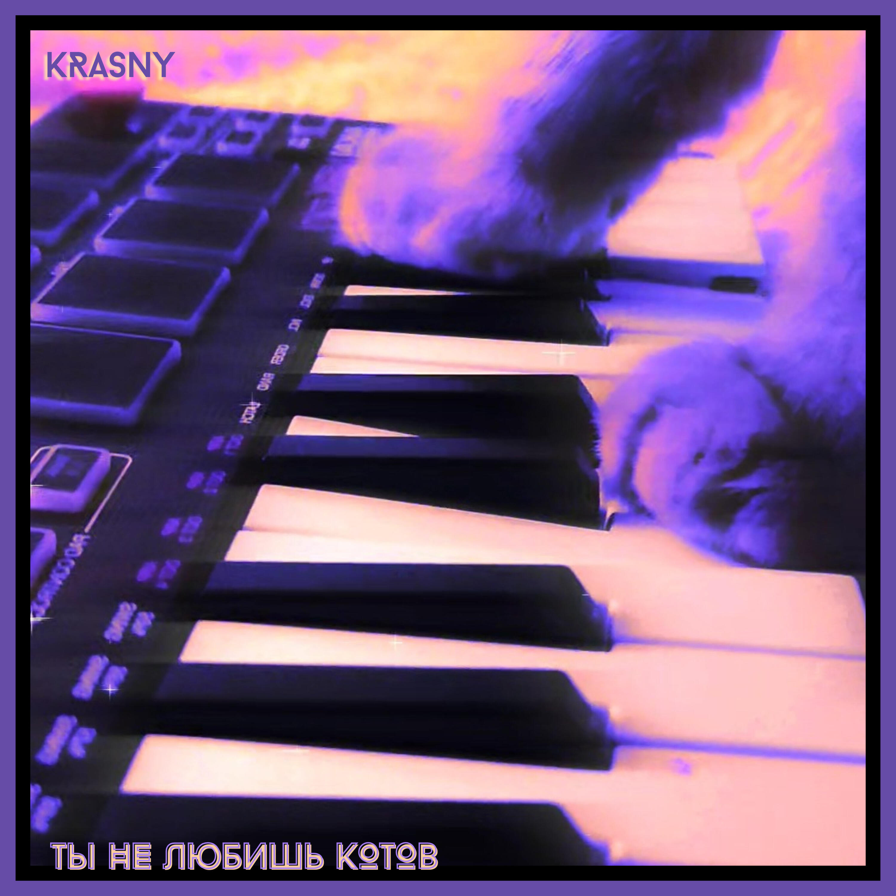 Релиз Ты не любишь котов