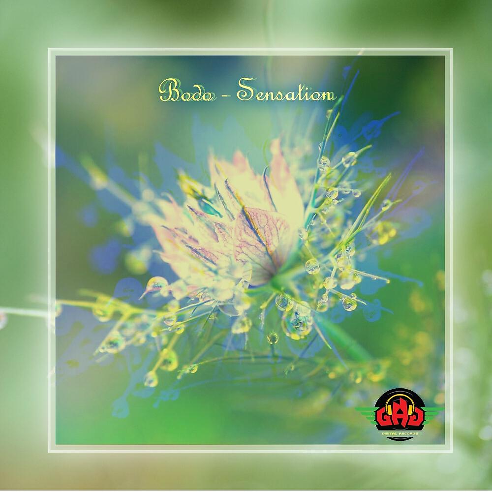 Релиз Sensation