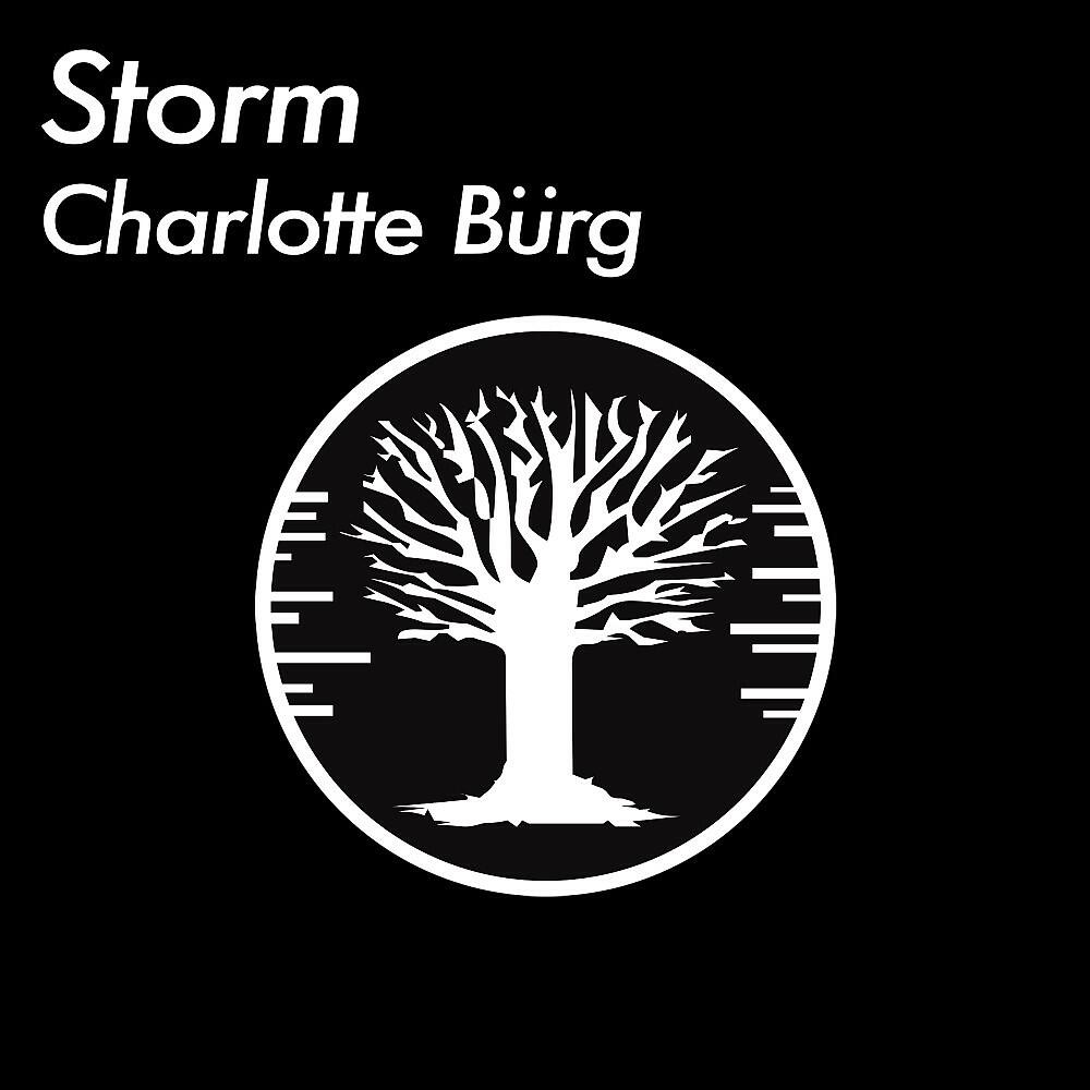 Релиз Storm