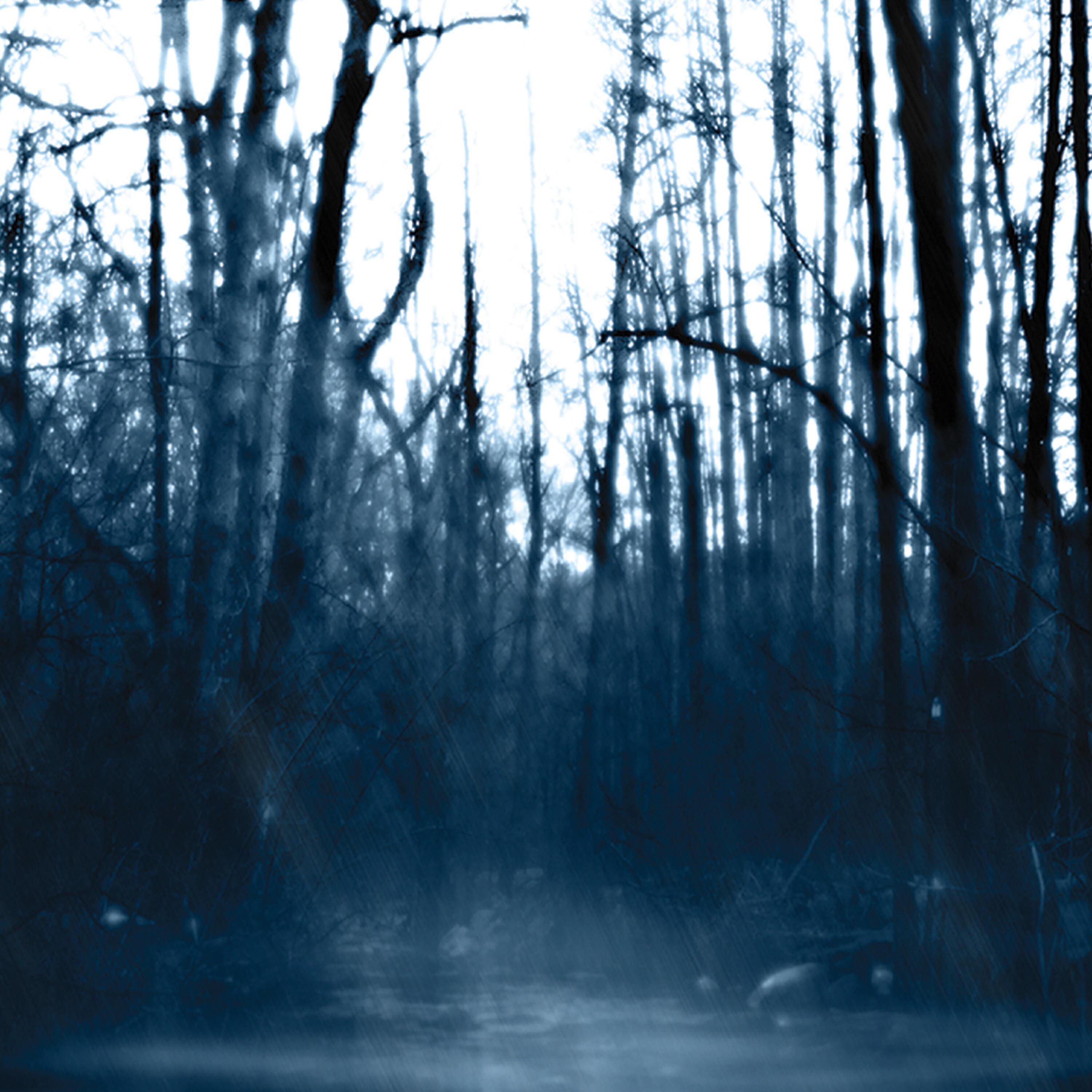 Релиз Still