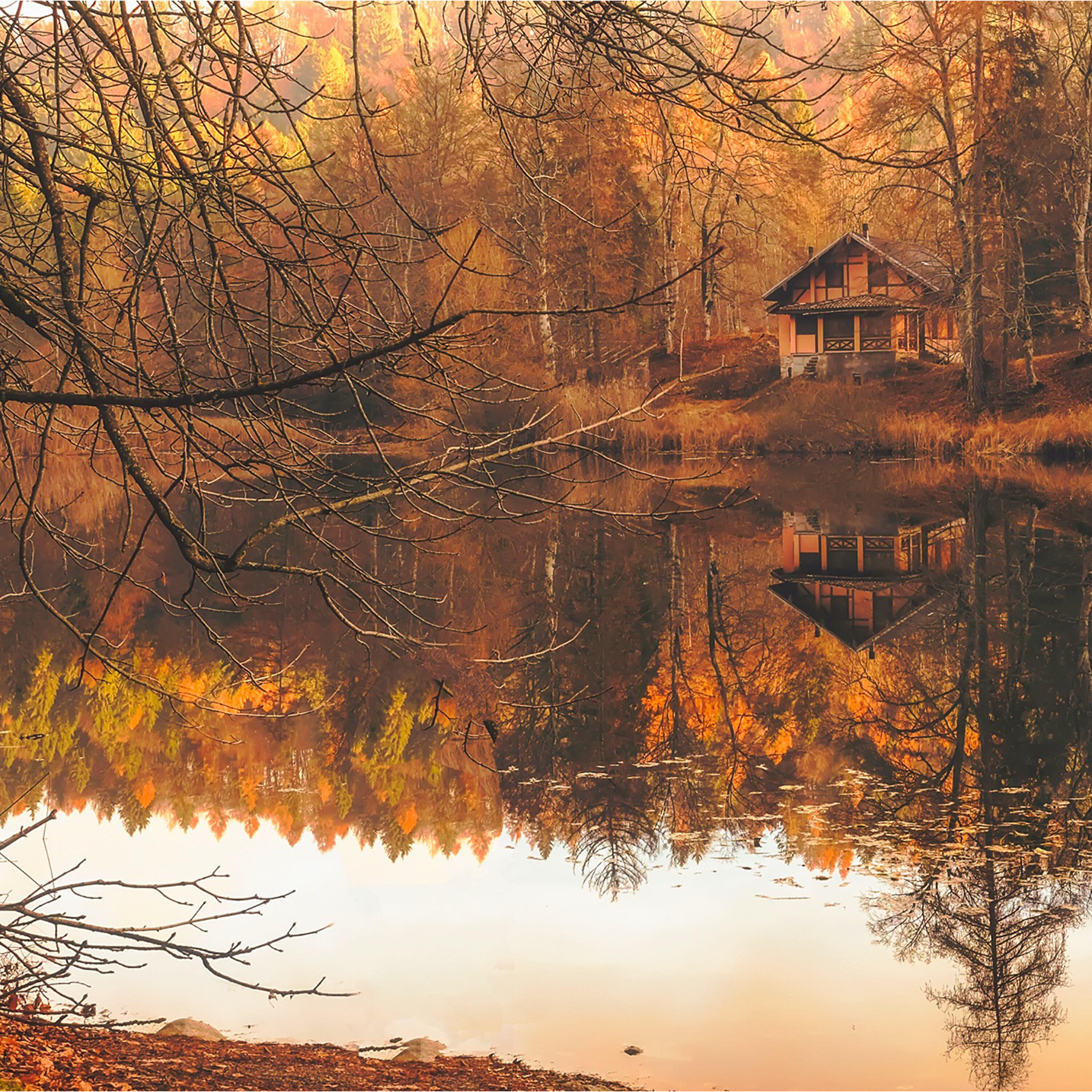 Piano Fruits Music, Ludvig Hall - Supermarket Flowers