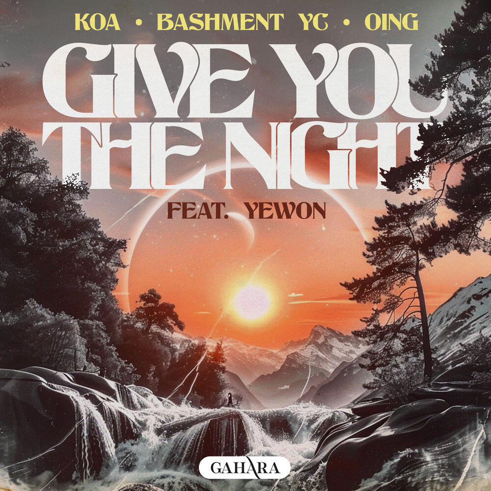 Bashment Yc