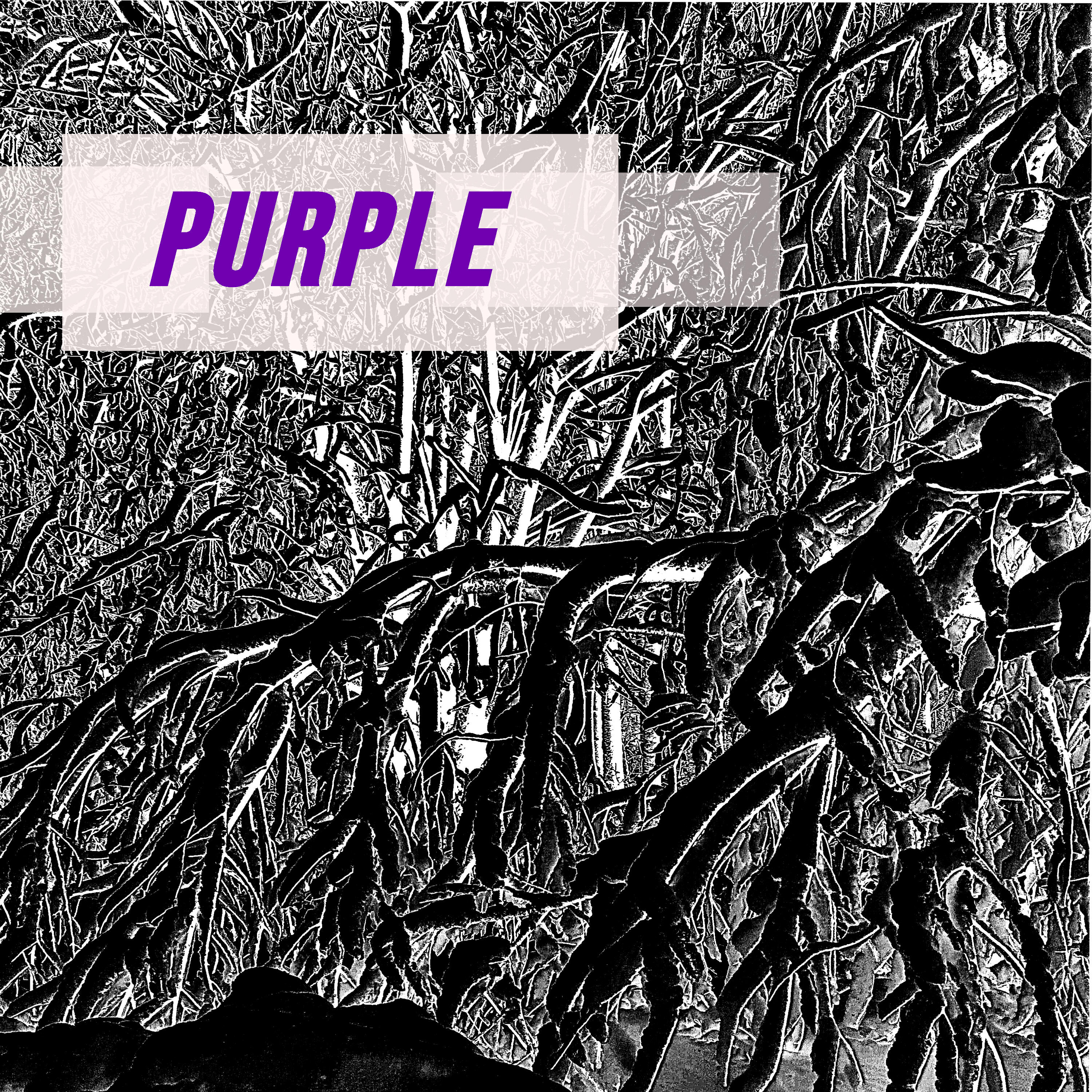 Релиз Purple