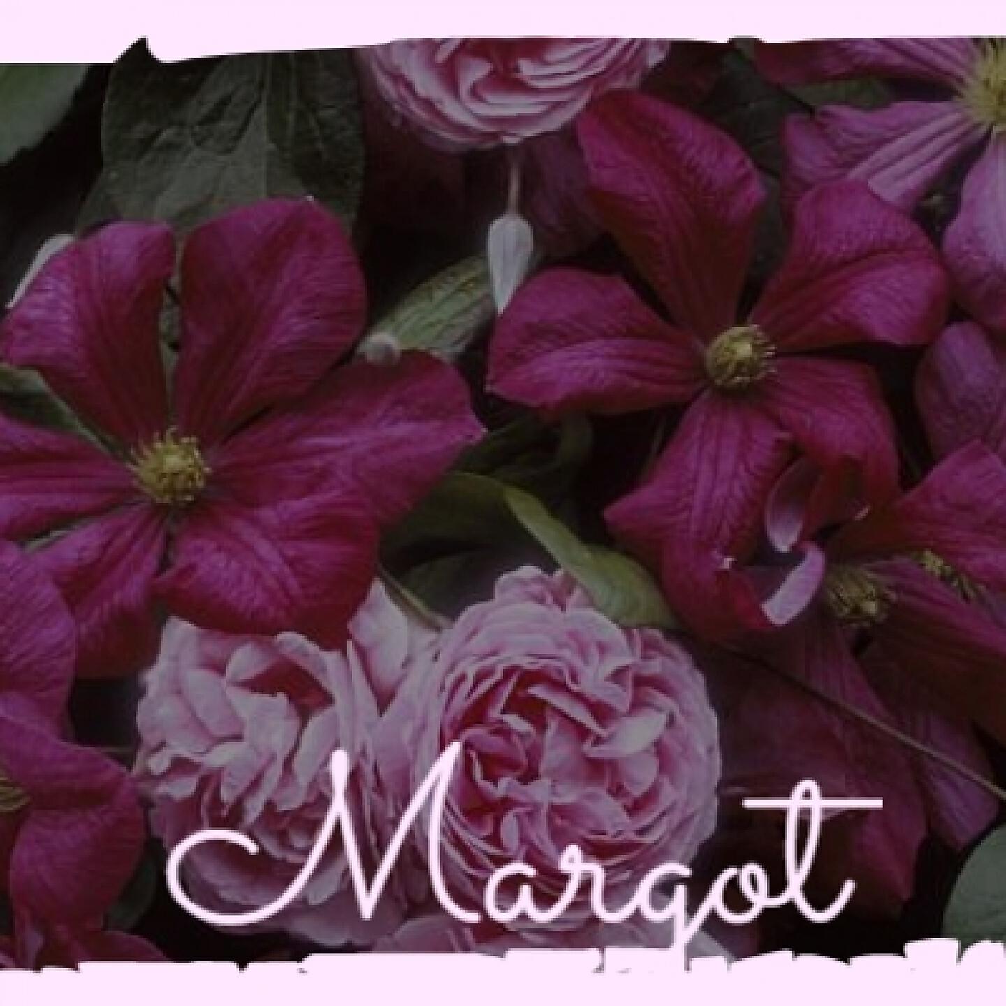 Постер альбома Margot