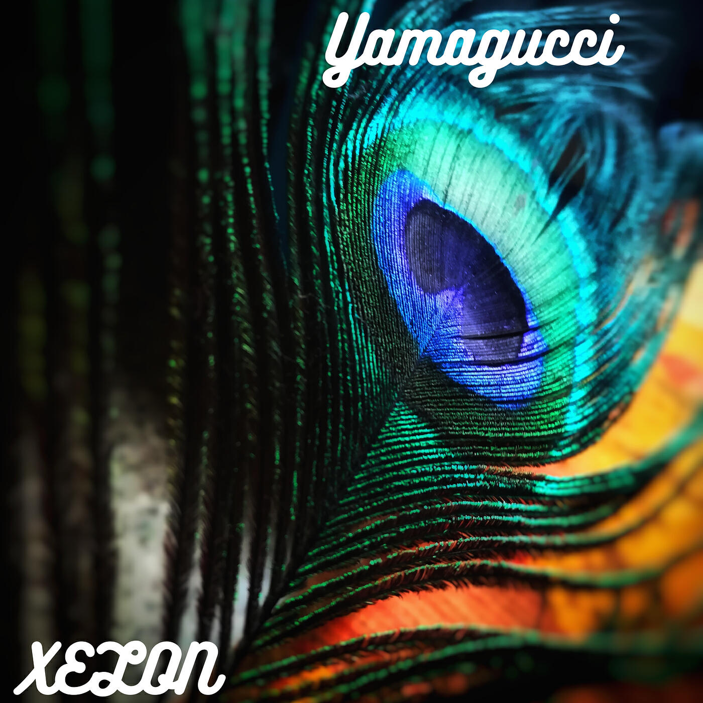 Релиз Yamagucci