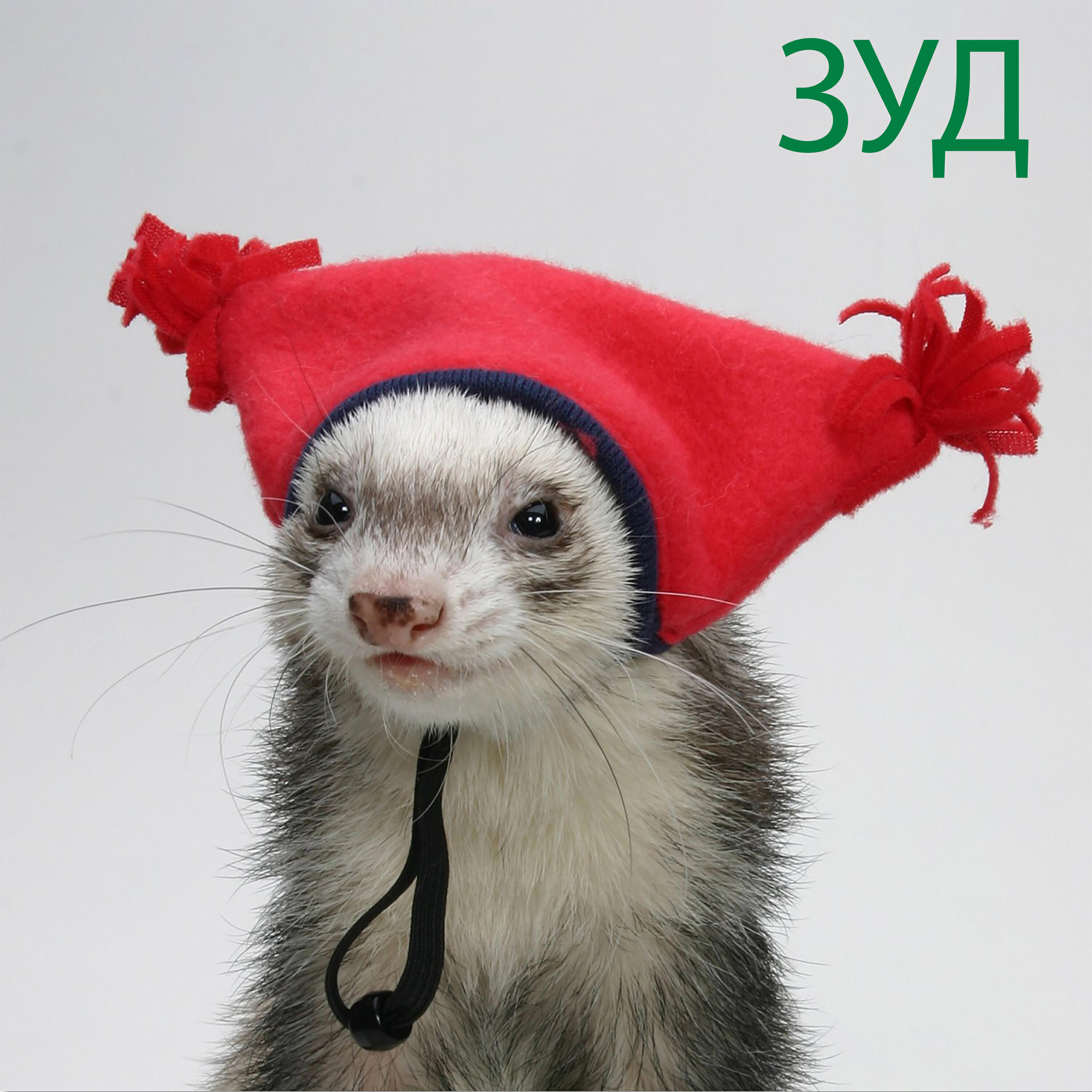 Релиз Новогодний зуд