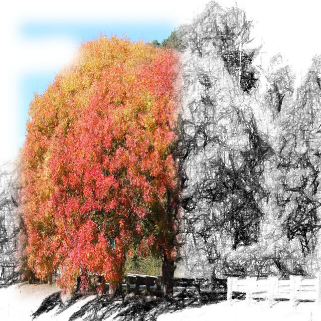 Релиз White Noise Spa Collection - 50 Shades of Ambience (Loopable and without fade)