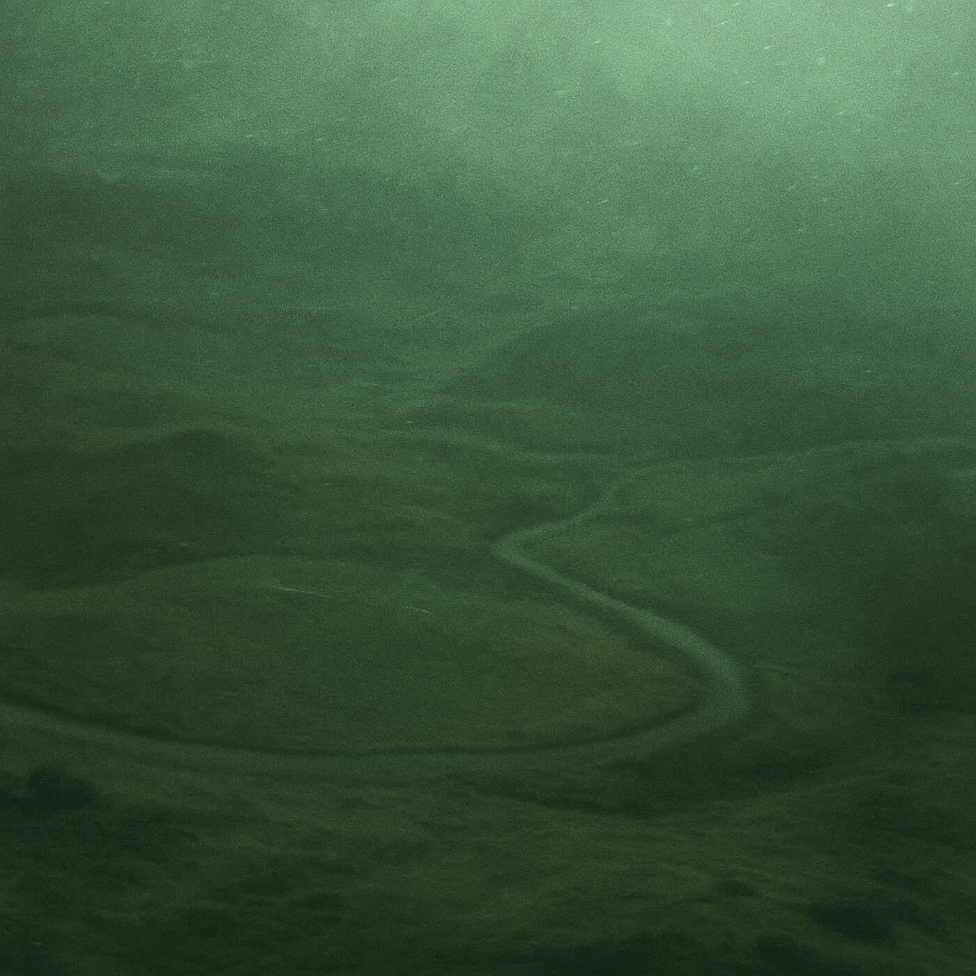 Релиз terre verte