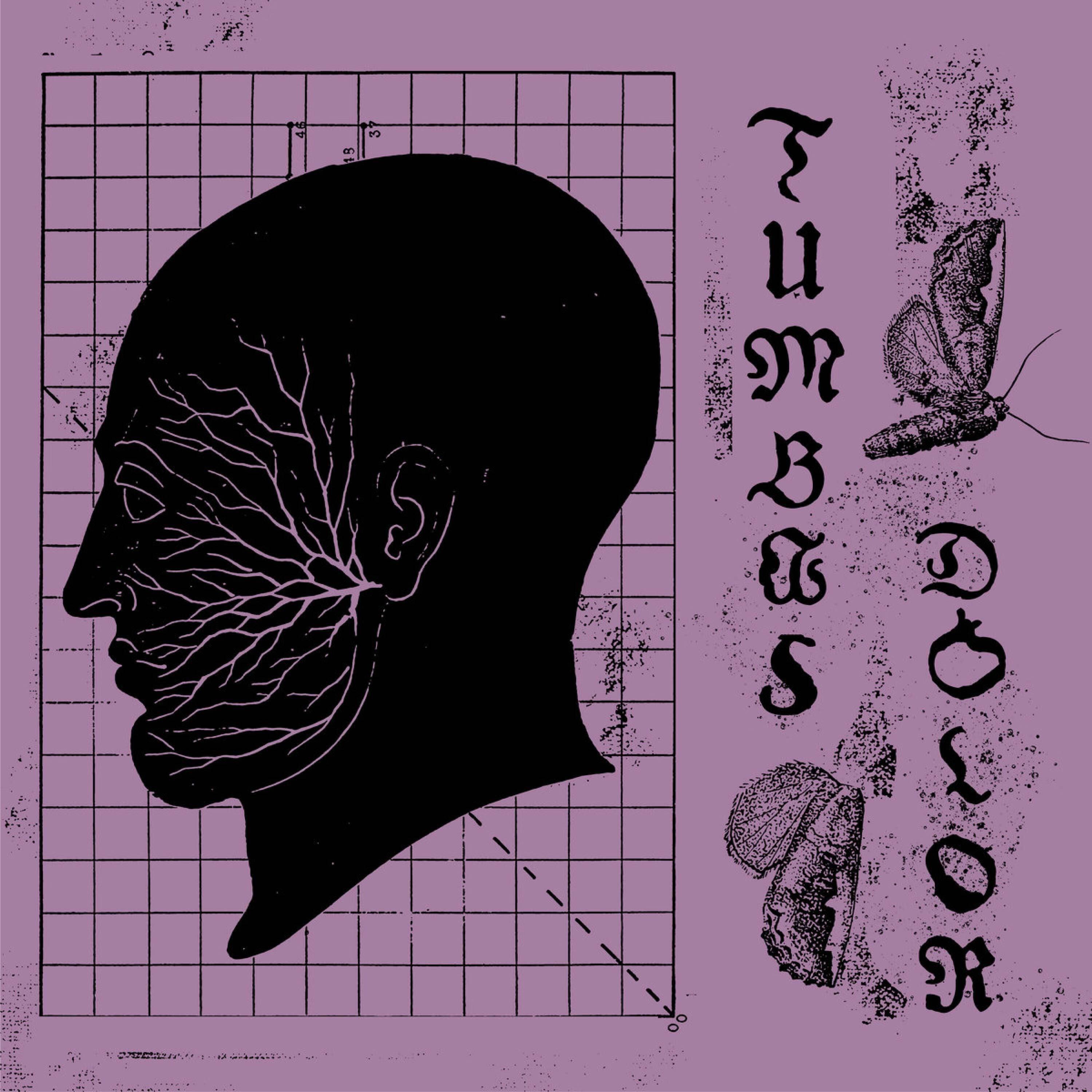 Релиз Dolor