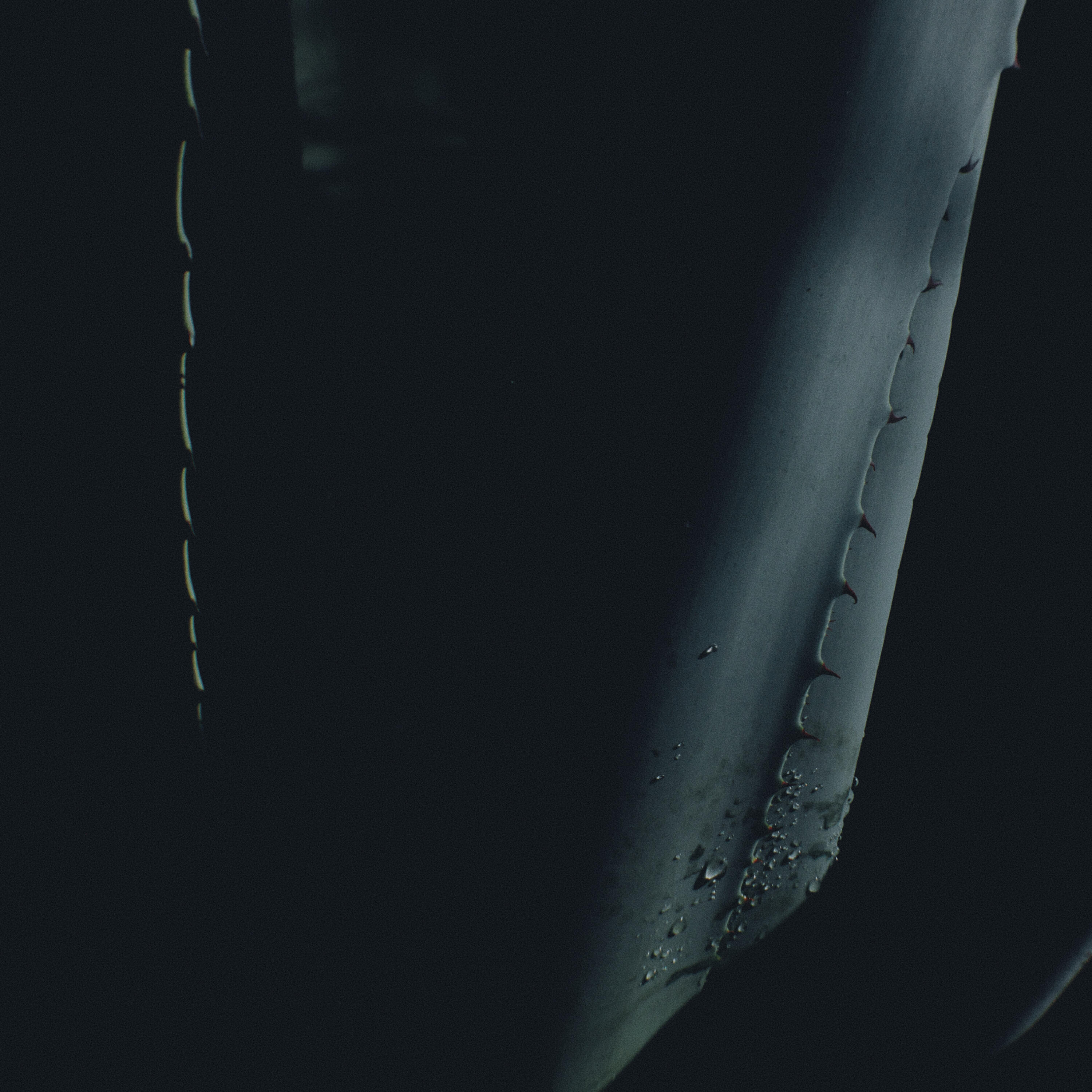 Релиз Helix