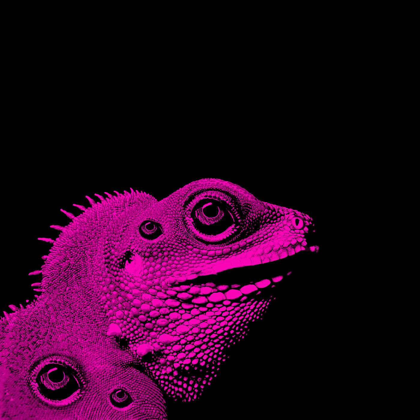 Релиз Reptilianos