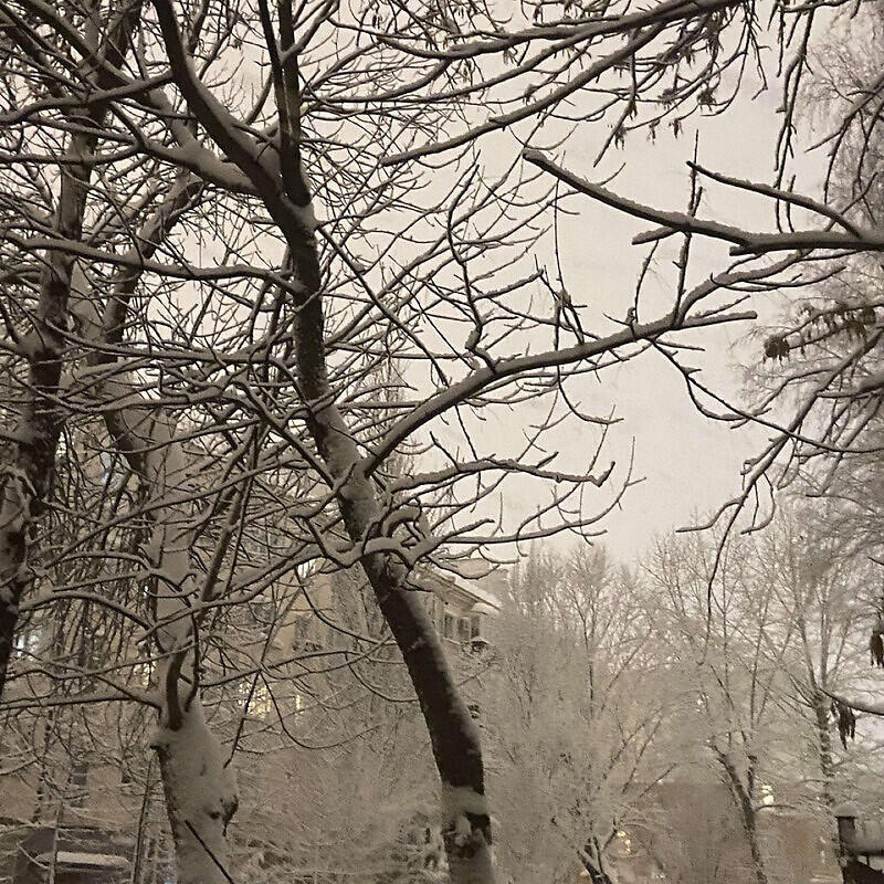 Постер альбома siberian luv