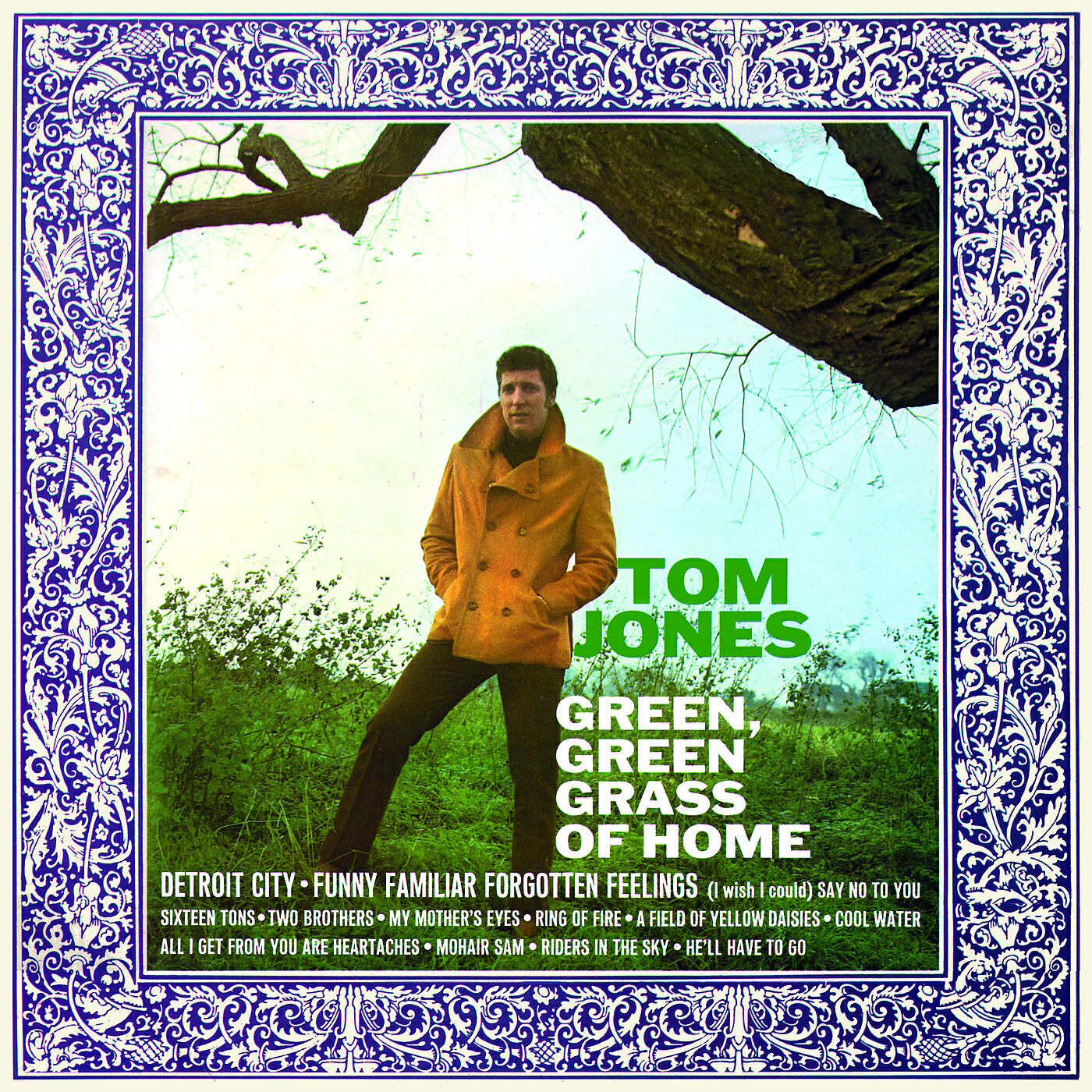 Постер альбома Green, Green Grass Of Home