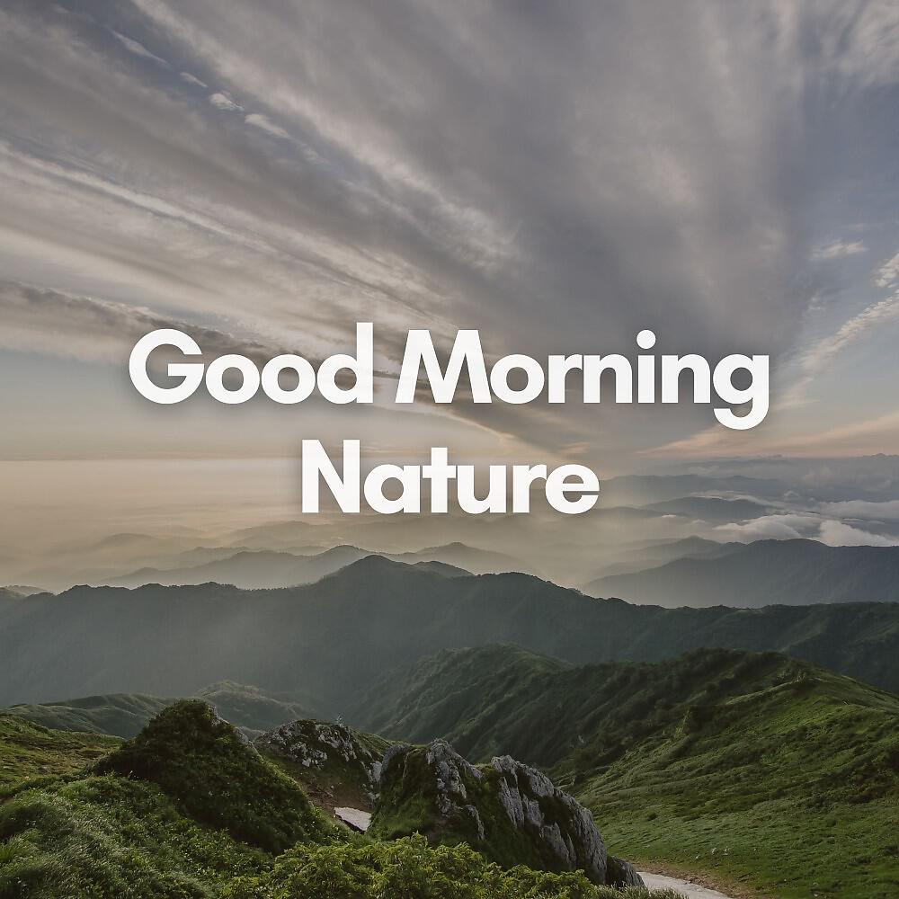 Релиз Good Morning Nature