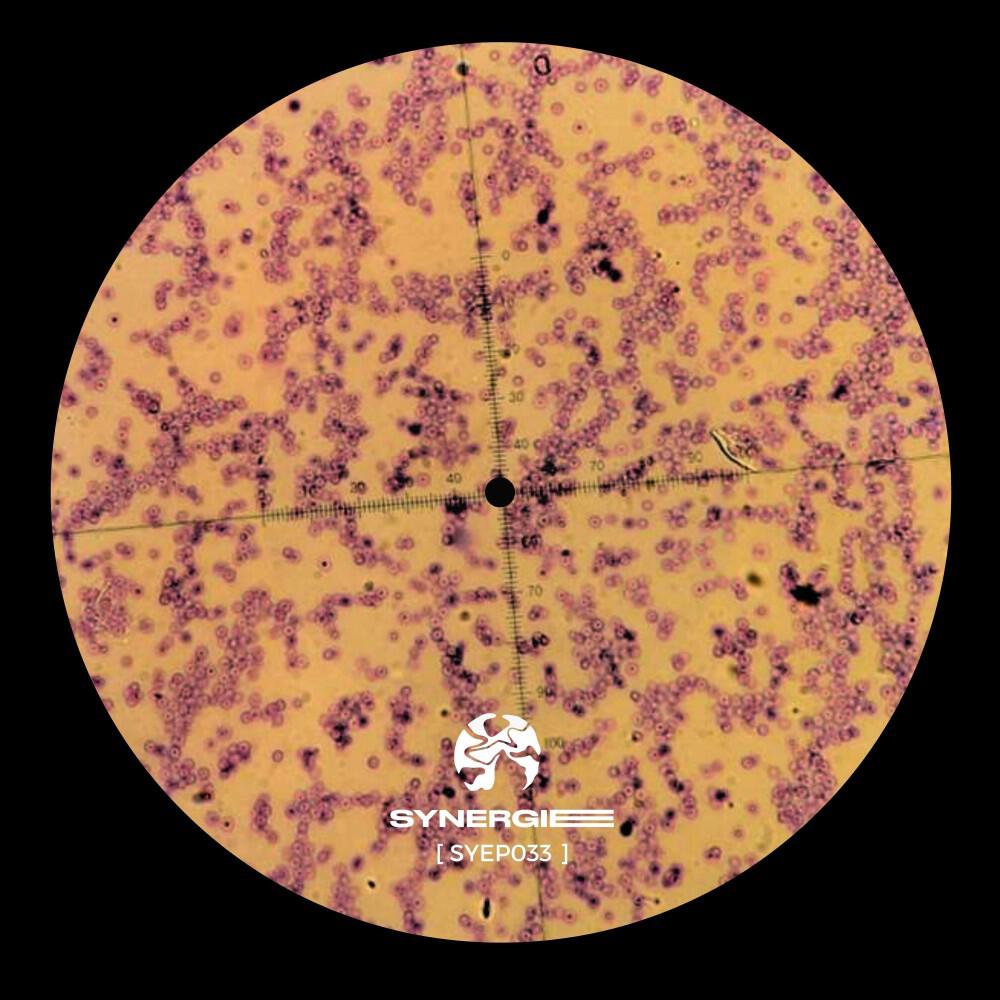 Релиз Oblivion (Syep033)