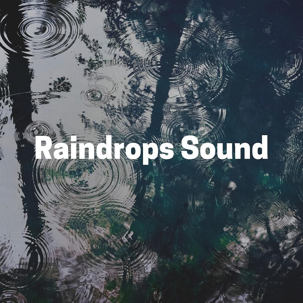 Релиз Raindrops Sound