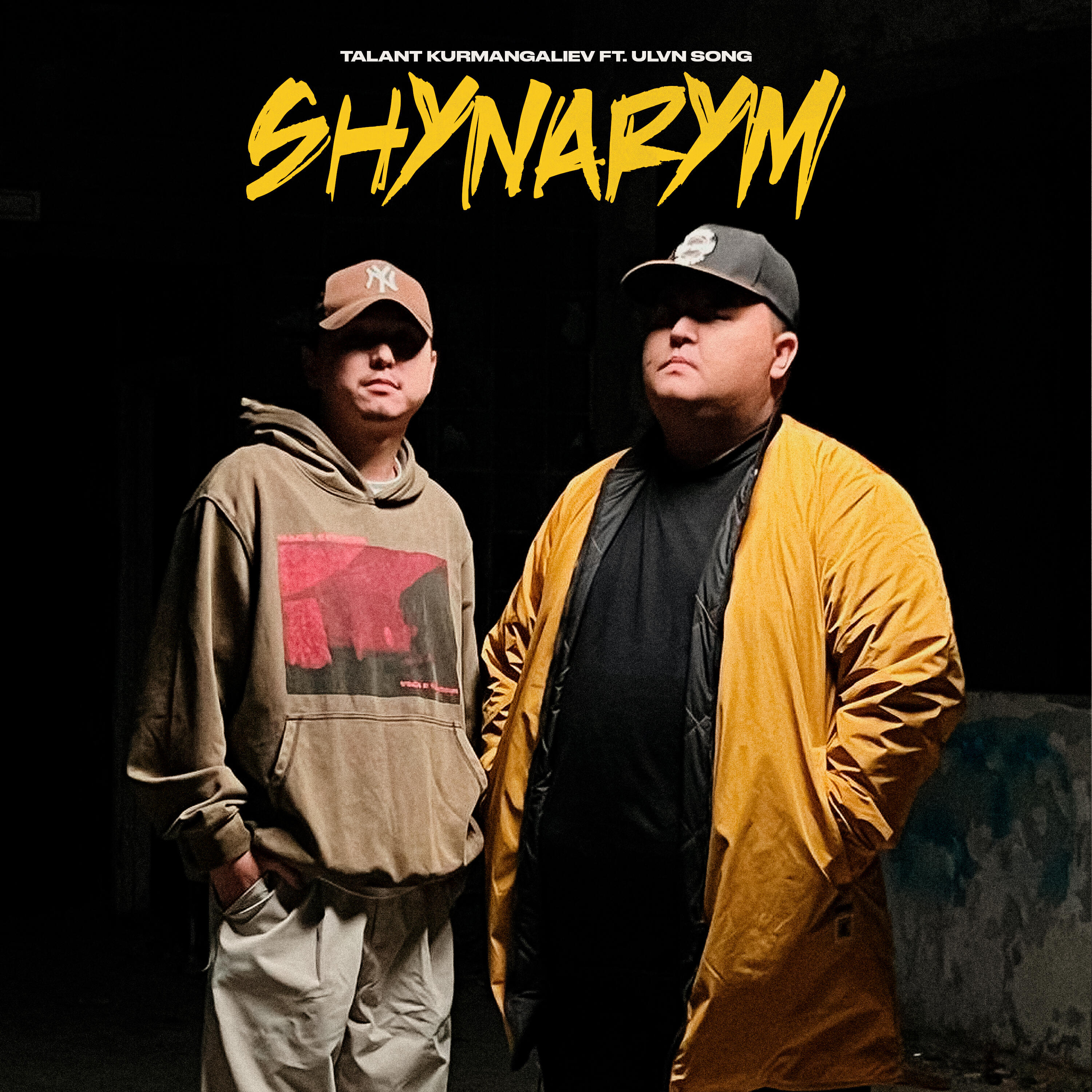 Релиз Shynarym