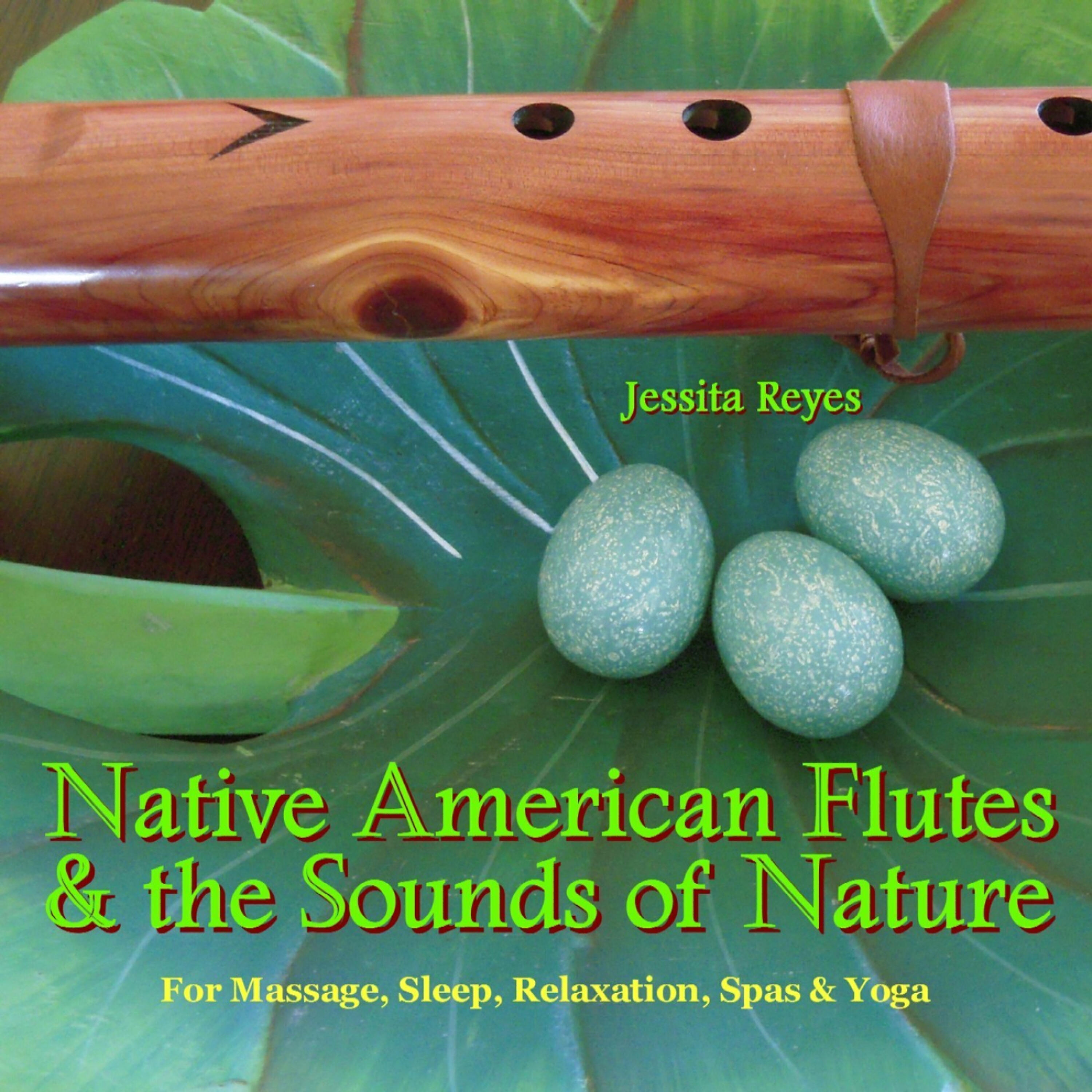 Постер альбома NATIVE AMERICAN FLUTES & SOUNDS OF NATURE (Relaxing Native American Flute & Nature Sounds for Massage, Sleep, Spas & Yoga)
