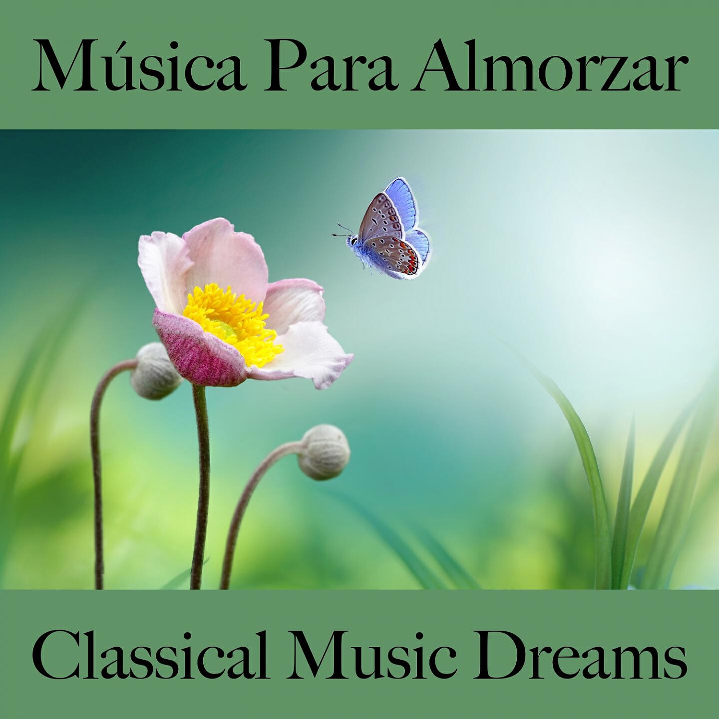 Релиз Música Para Almorzar: Classical Music Dreams - Los Mejores Sonidos Para Descancarse