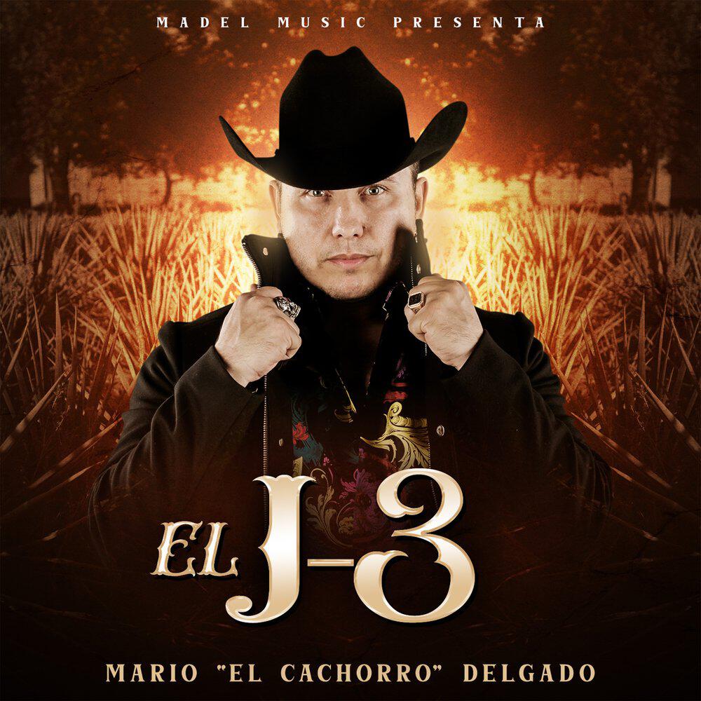 Релиз El J-3