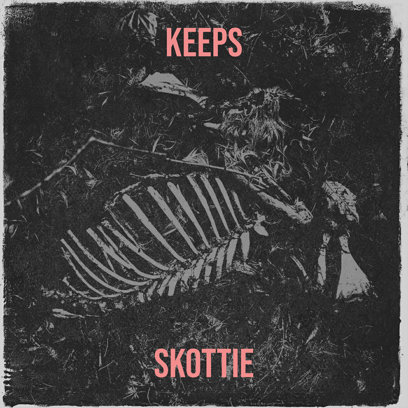 Skottie