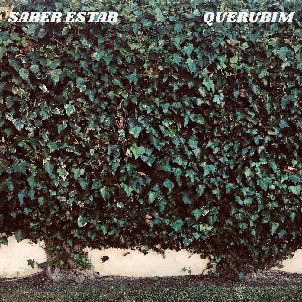 Релиз Saber Estar
