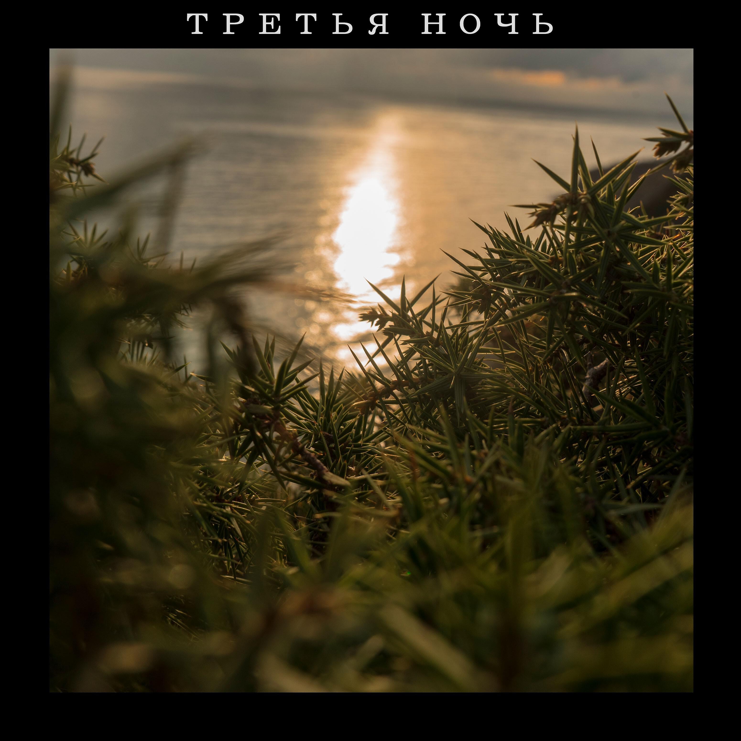 Релиз Третья ночь