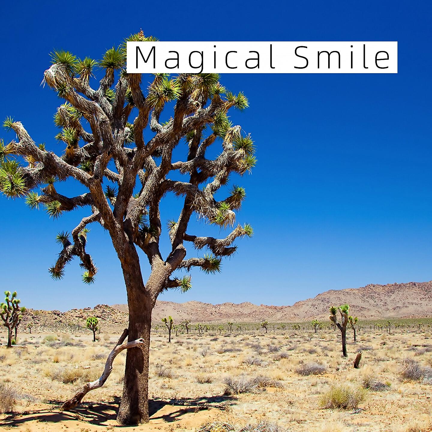 Релиз Magical Smile