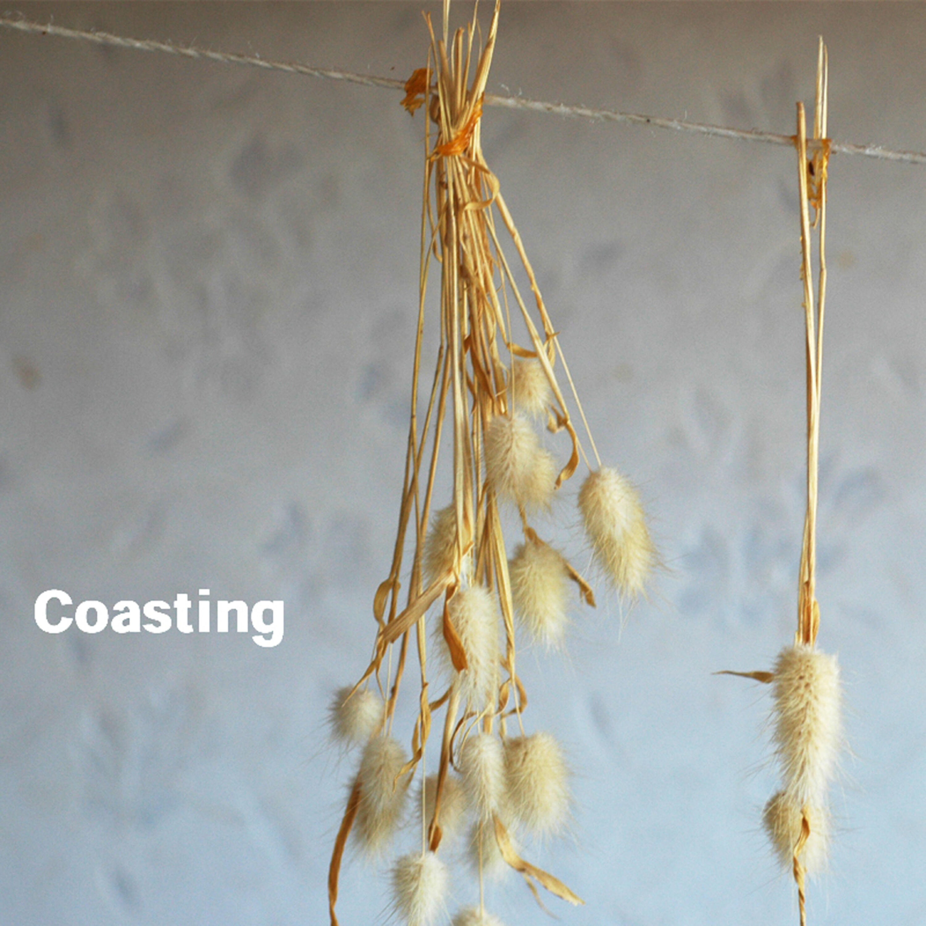 Релиз Coasting