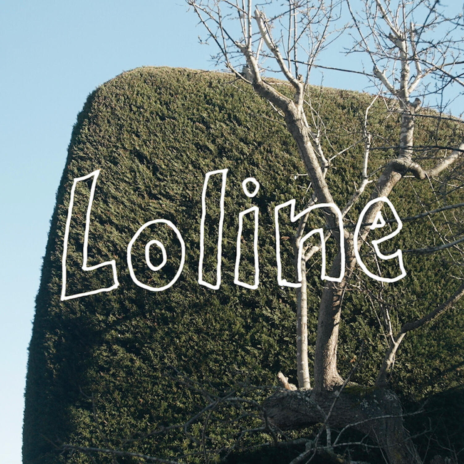 Релиз Loline
