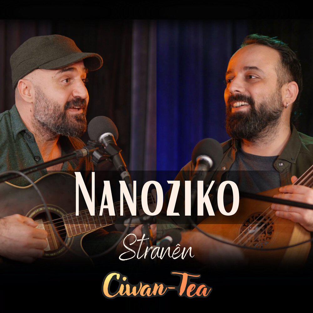 Релиз Nanoziko