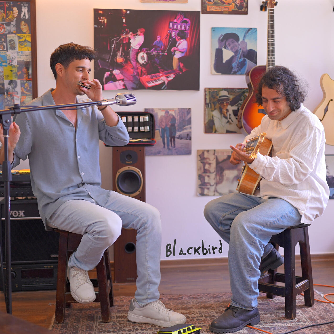 Релиз Blackbird (Harmonica)