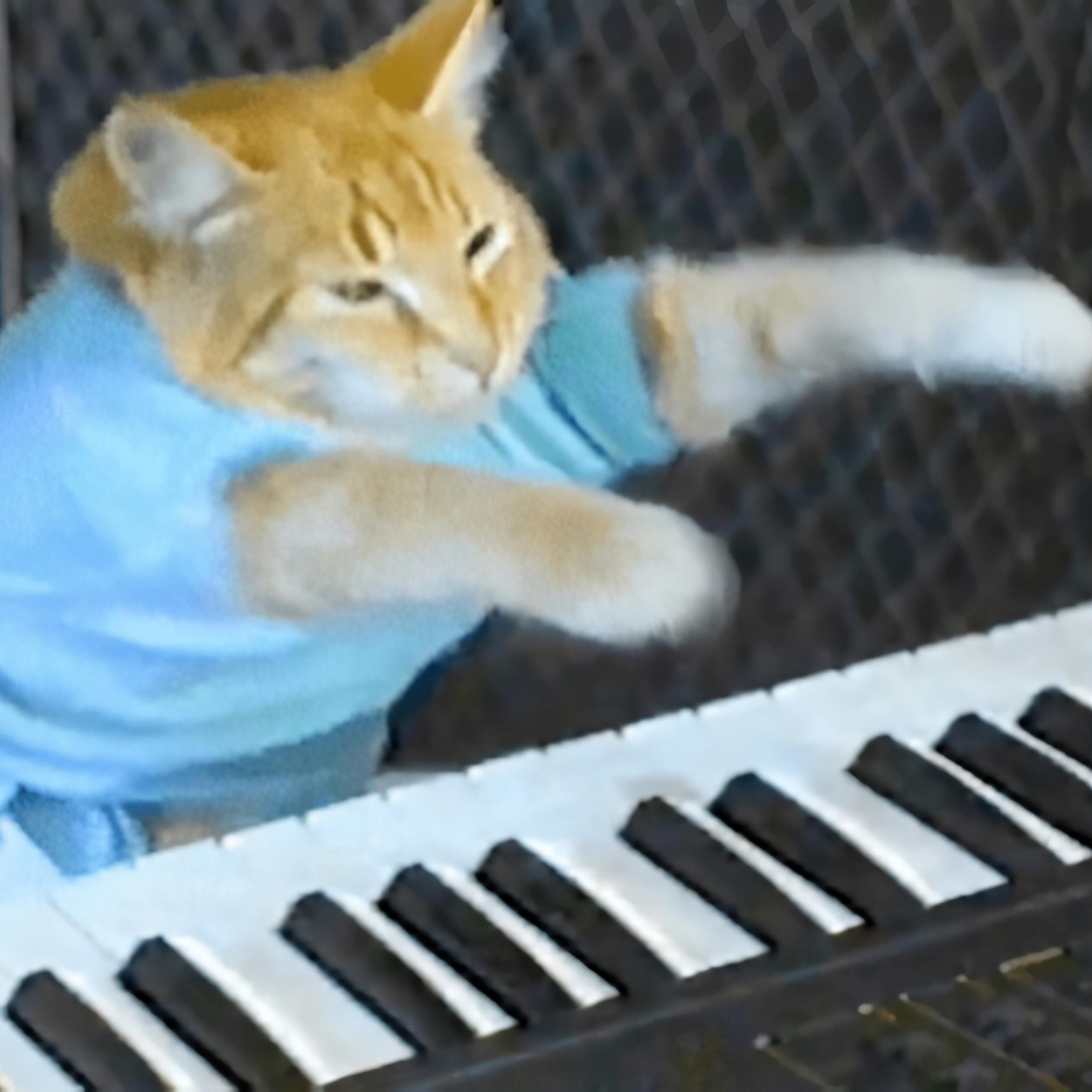 Релиз keyboard cat swag