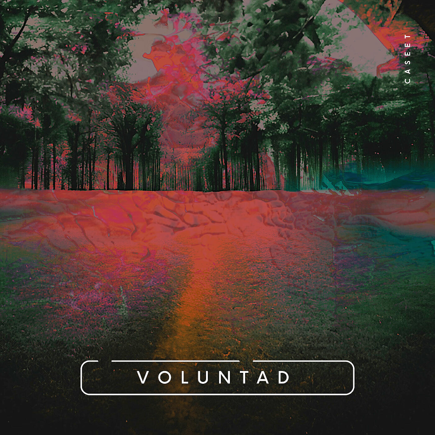 Релиз Voluntad